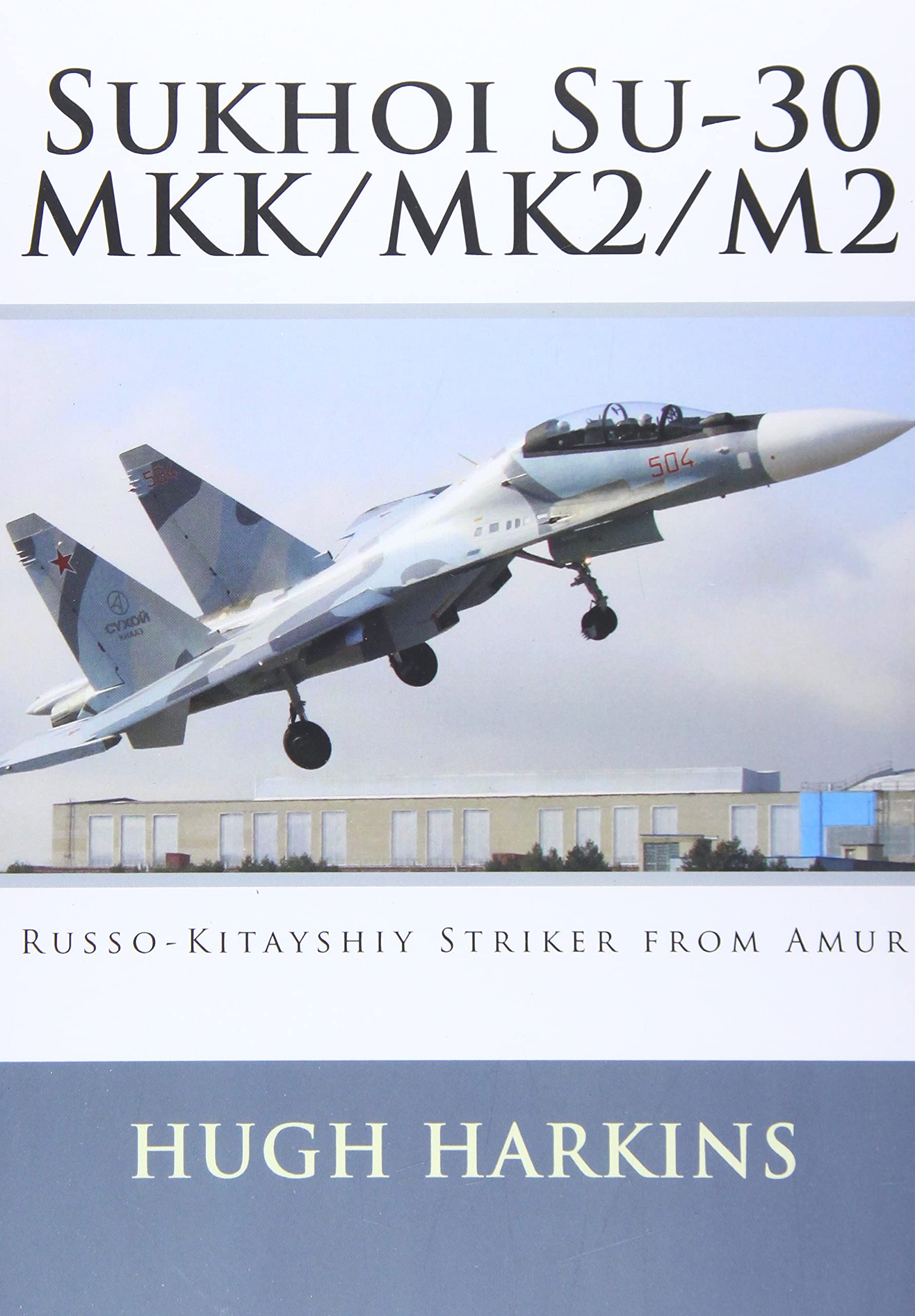 Sukhoi Su-30 MKK/MK2/M2: Russo-Kitayshiy Striker from Amur: 21st Century 'Flanker' Paperback – 27 Oct. 2015