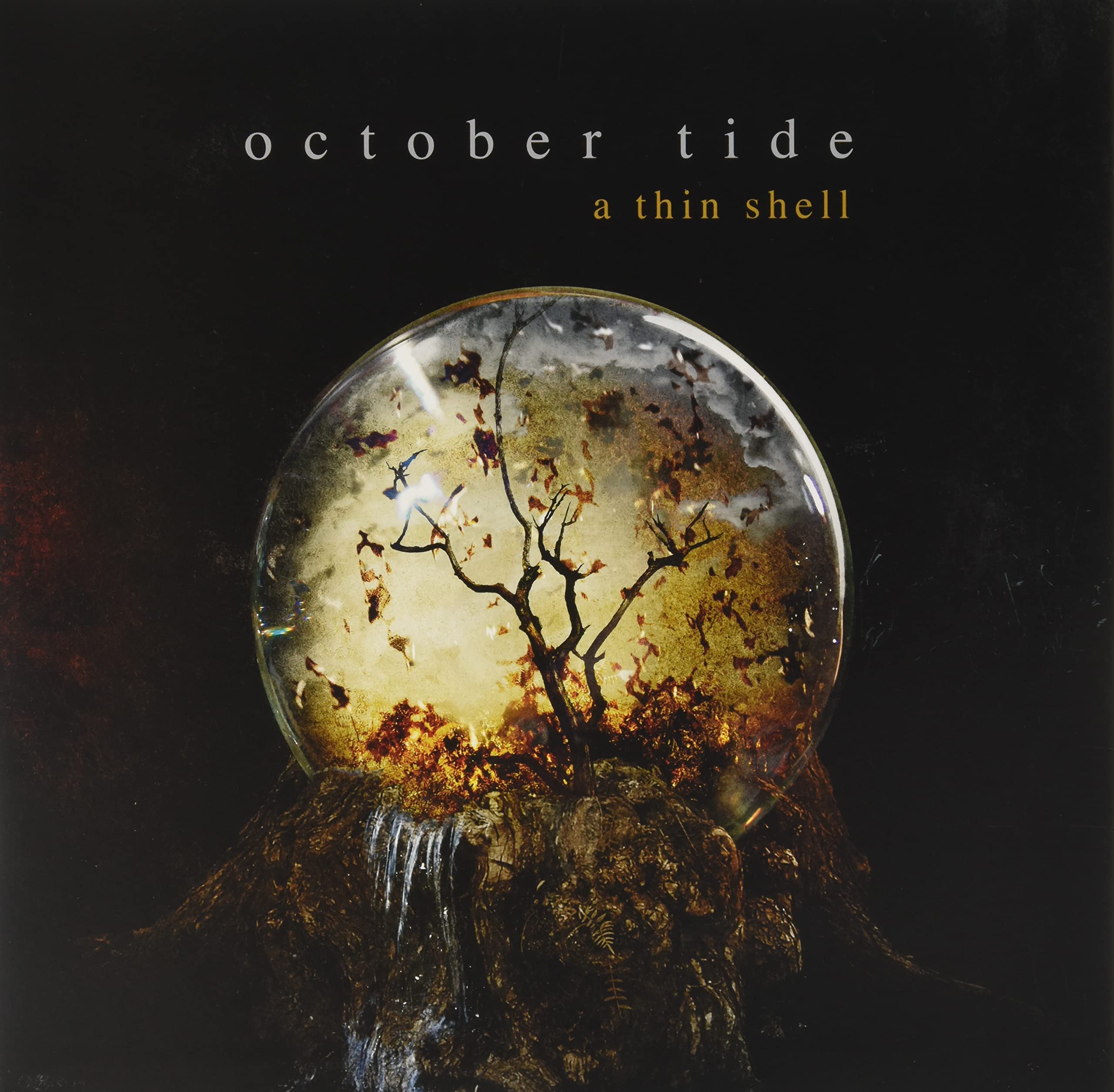 A Thin Shell [VINYL]
