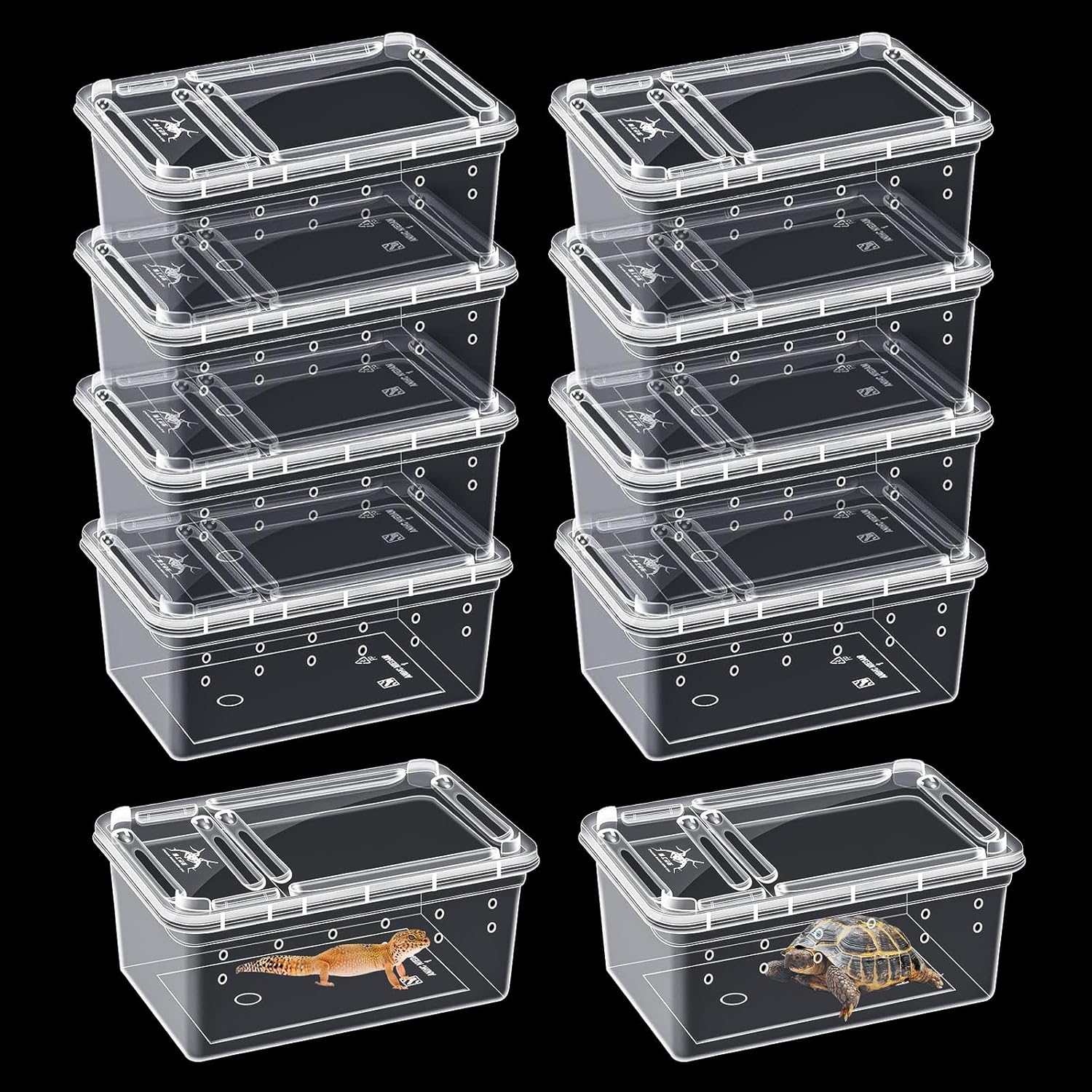 10Pcs Reptile Feeding Box, Transparent Animal Habitat Cage Spider Terrarium, Plastic Breeding Box for Reptile Turtle Spider Frog Scorpion Snake (5.9 x 3.9 x 2.5 in)
