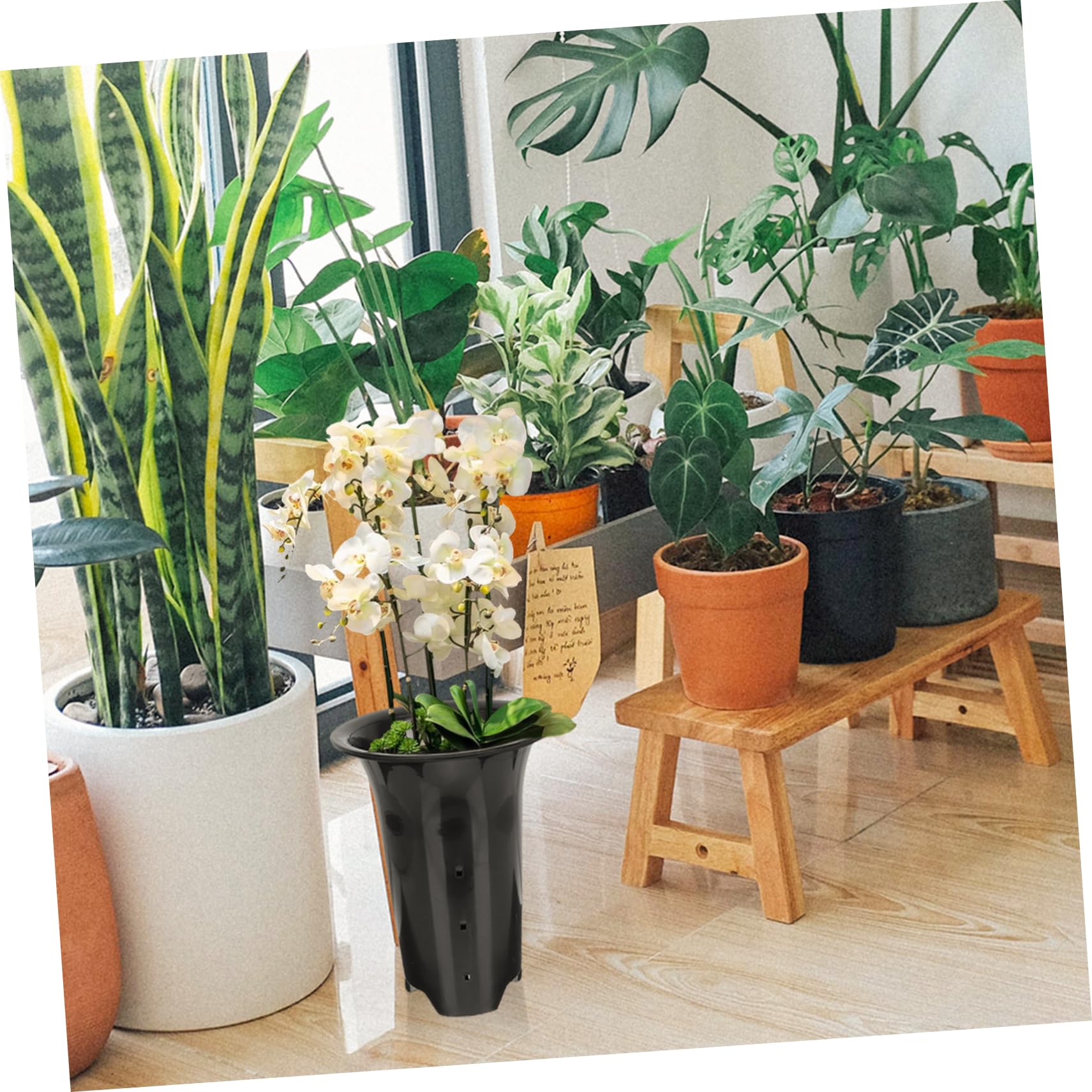 Pots de Fleurs en Plastique Noir Contrôle des Racines pour Orchidées 10pcs Design Simple et Pratique Adaptés aux Plantes D'intérieur et Usage Domestique