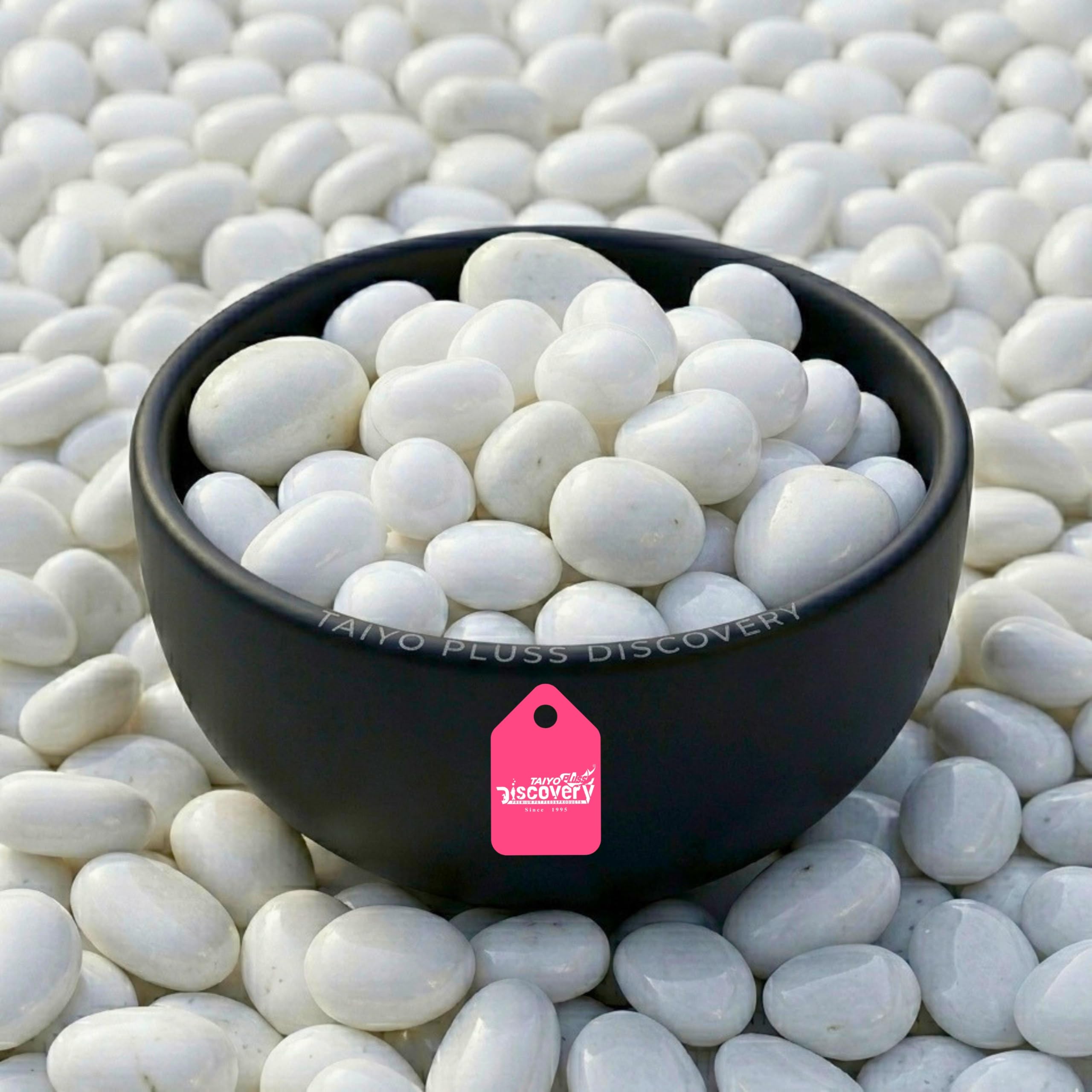 Taiyo Pluss Discovery Polished White Aquarium Pebbles - 1 kg | Natural Decorative Stones - Aquascaping, Home Decor Rock & Garden Vase Fillers | Bio Fish Tank Filtration Gravel Media (Size 2.5-4 cm)-picture-31