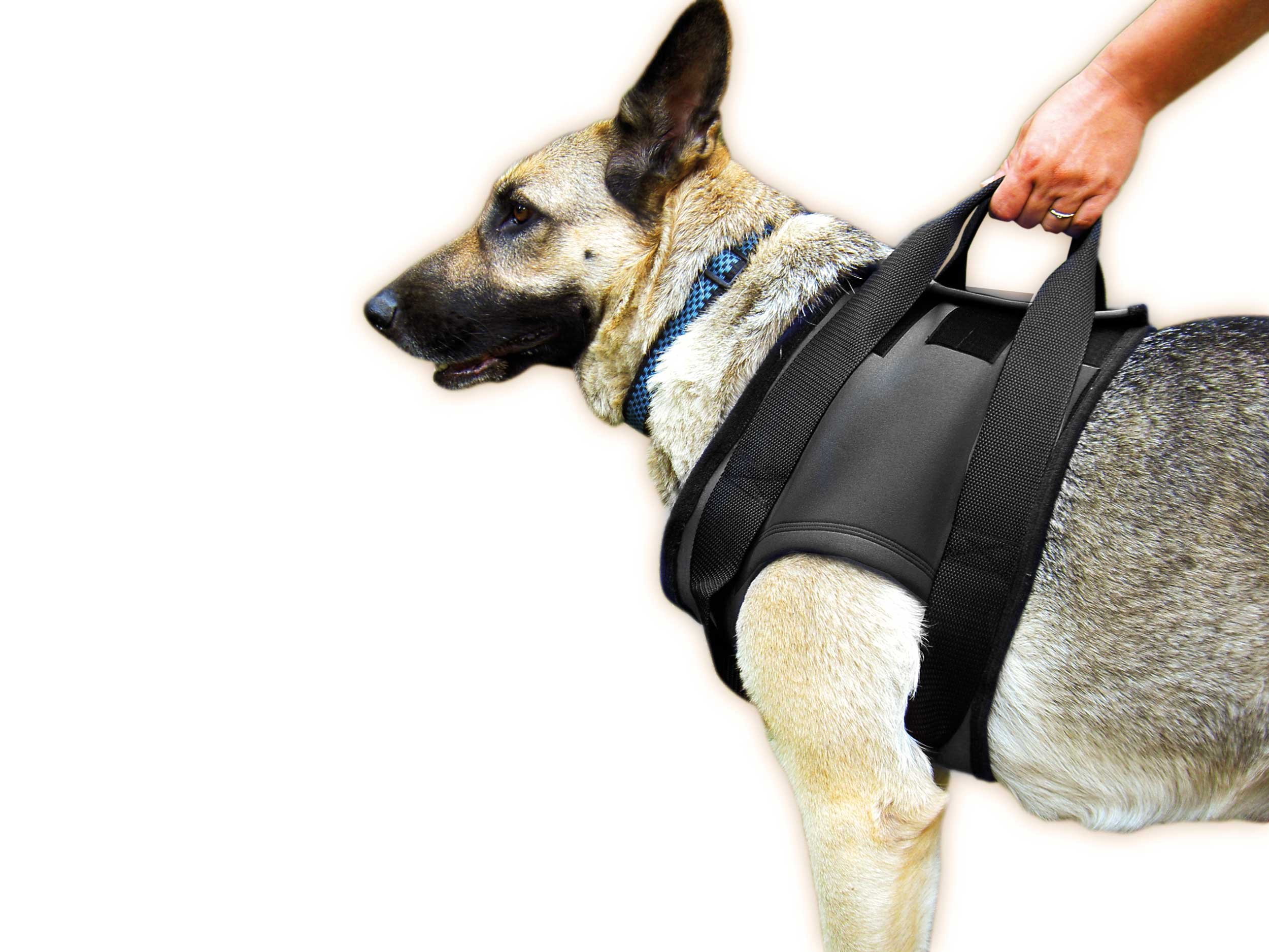 Julius-K9 Rehabilitation Harnesses - Front, Size: L, Chest circumference: 57-87 cm, black