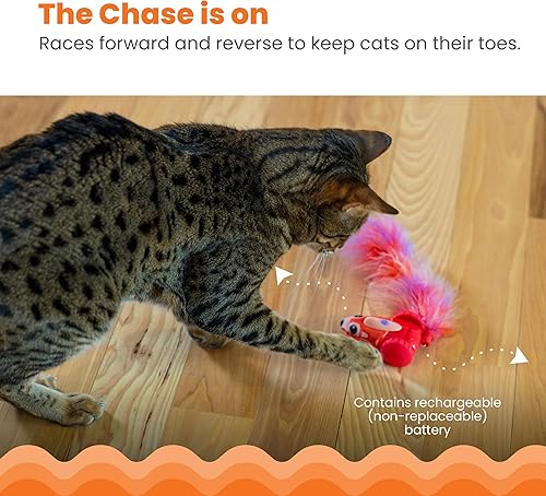 Miniatura 2 de Catstages Racin' Squirrel Robot, juguete electrónico para gatos en movimiento con plumas, recargable por USB, rojo