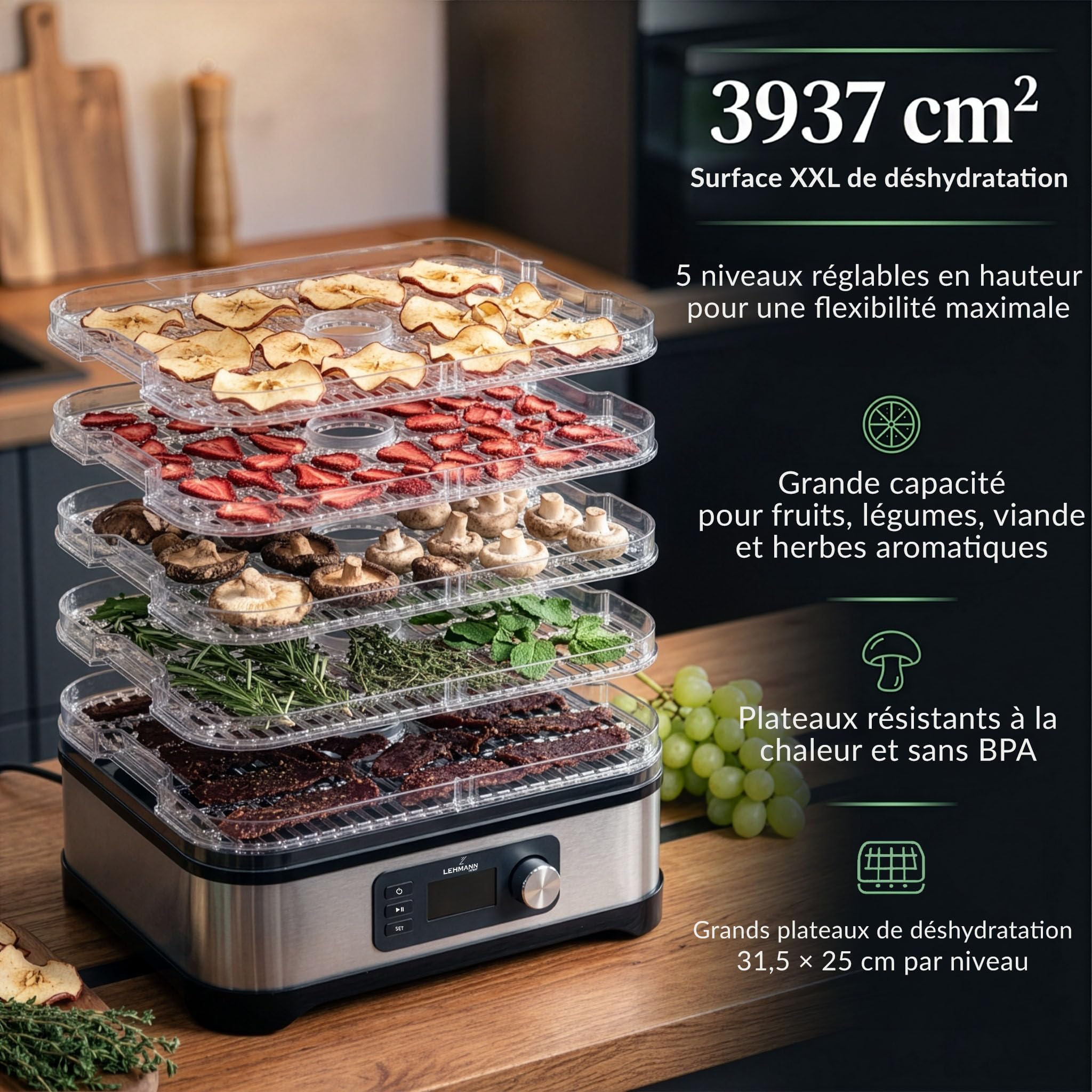 LEHMANN Déshydrateur Alimentaire en Acier Inoxydable, 450 W, 5 Plateaux Réglables en Hauteur, Température Réglable 35-70°C, Minuterie 24 h, sans BPA, pour Champignons, Fruits, Légumes