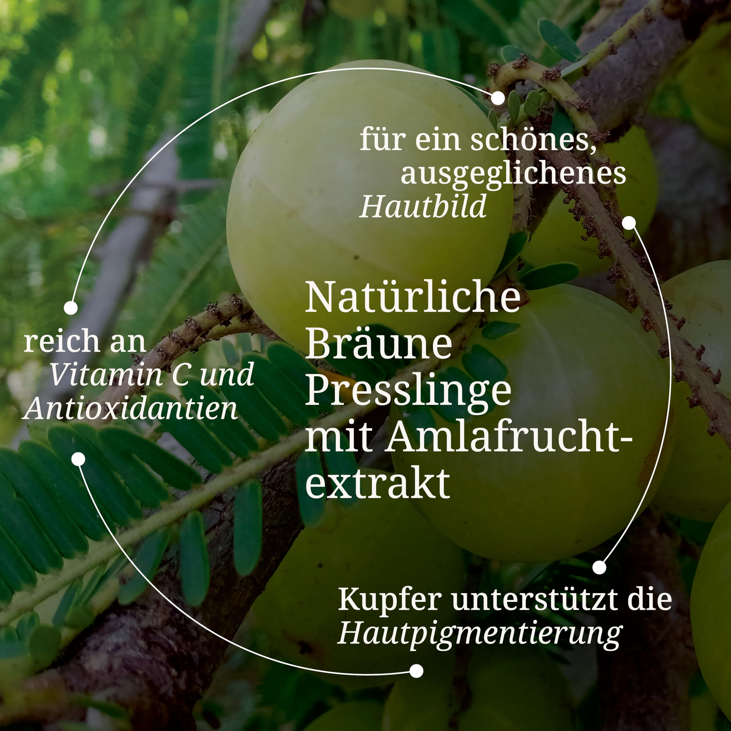 BÄRBEL DREXEL Natürliche Bräune mit Beta-Carotin Hochdosiert + Carotinoid-Vitaminen (80 Stk) Unterstützen die Bräunungsfähigkeit des Körpers, Vegan, Bräunungskapseln ohne unerwünschte Zusätze