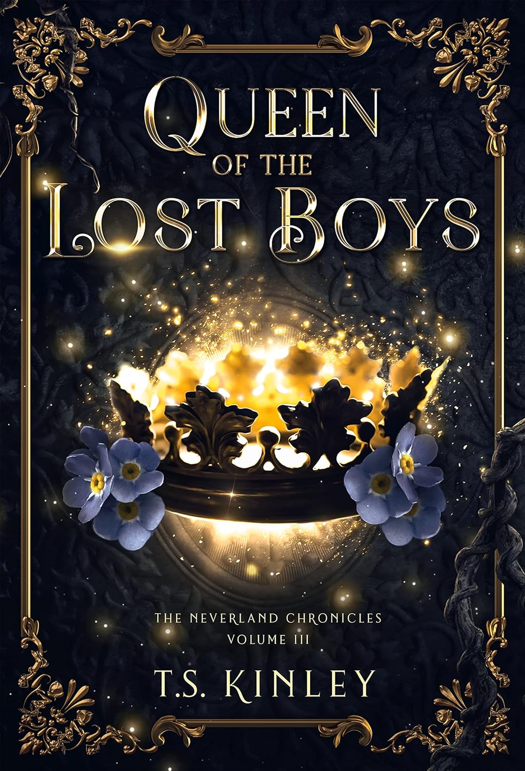 Amazon.com: Queen of the Lost Boys (The Neverland Chronicles Book 3 ...