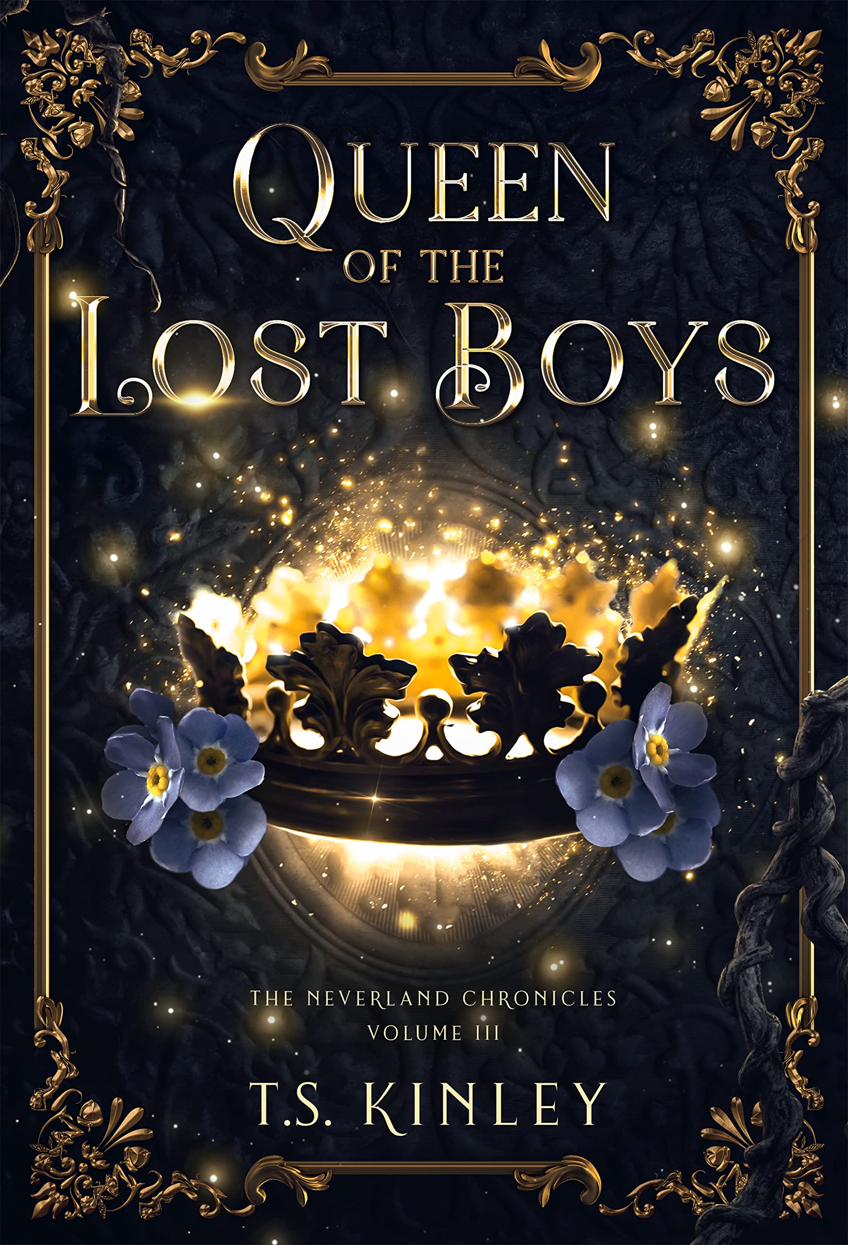 Queen of the Lost Boys (The Neverland Chronicles Book 3)