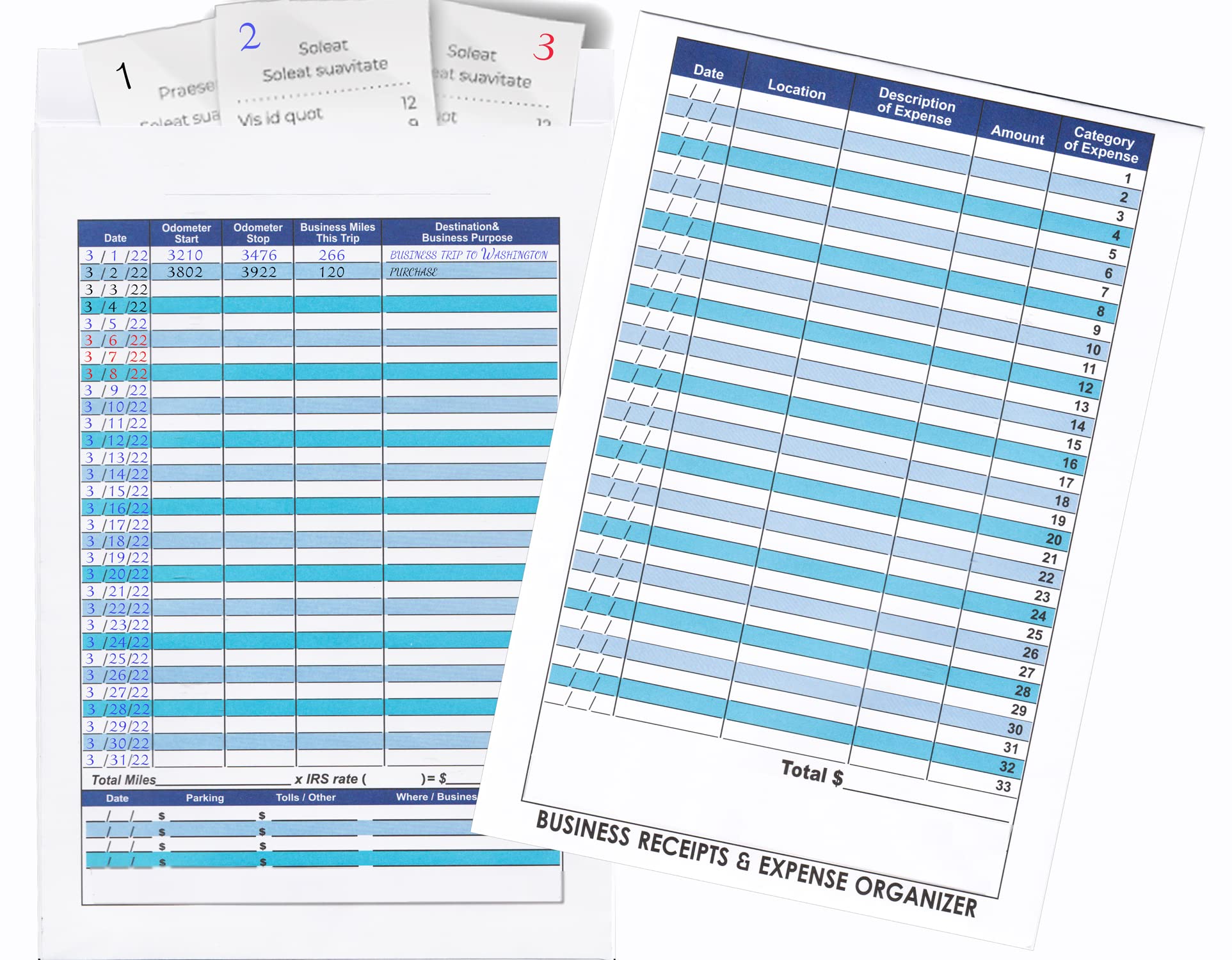 Amazon.com : 12 Pack Blue Large Business Receipts & Expense Organizer  Envelopes for Expense Tracker and Storing Receipts-The Front Detail is  Expense Ledger to Record Business Expenses, Mileage Records on Back :