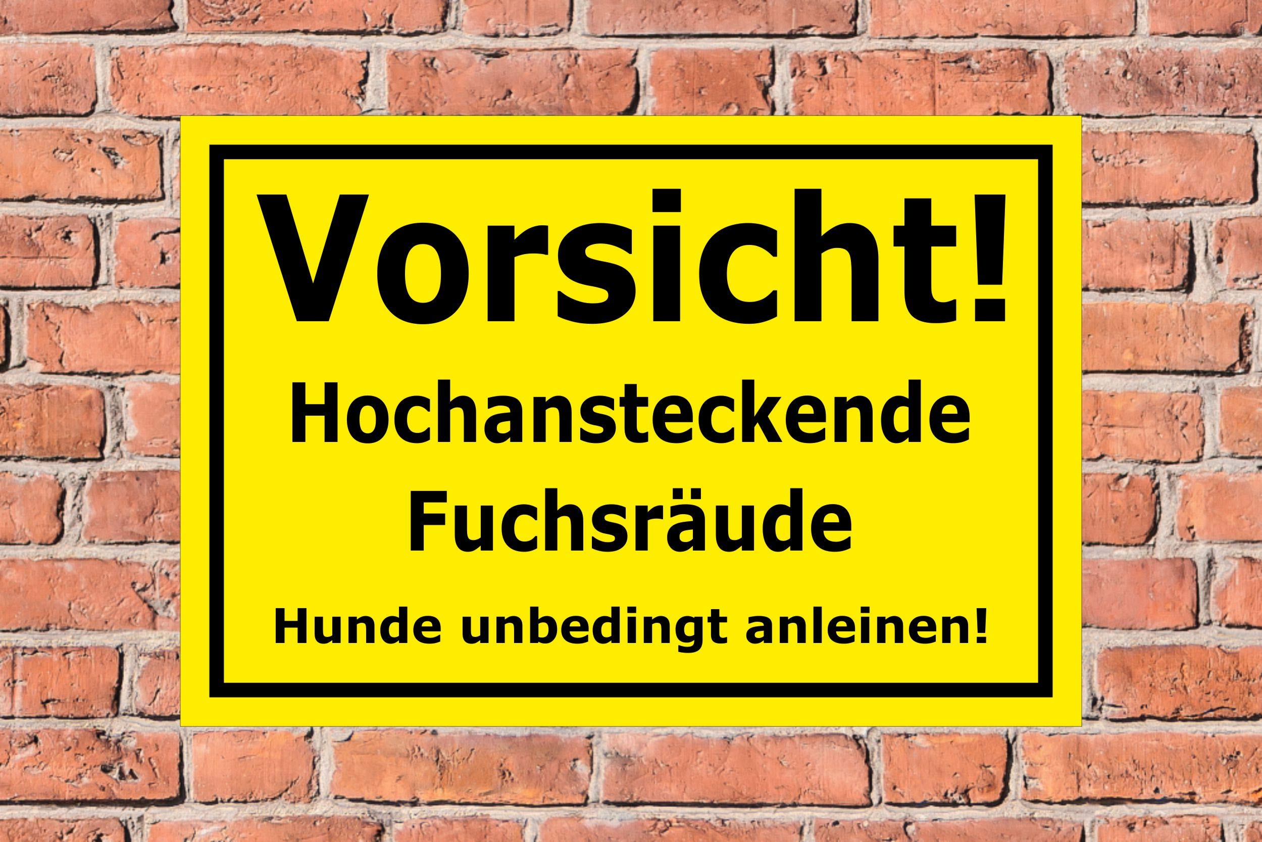 Melis-Folienwerkstatt Schild 'Hunde Anleinen' – 45x30 Cm, 3mm Hartschaum, Wetterfest
