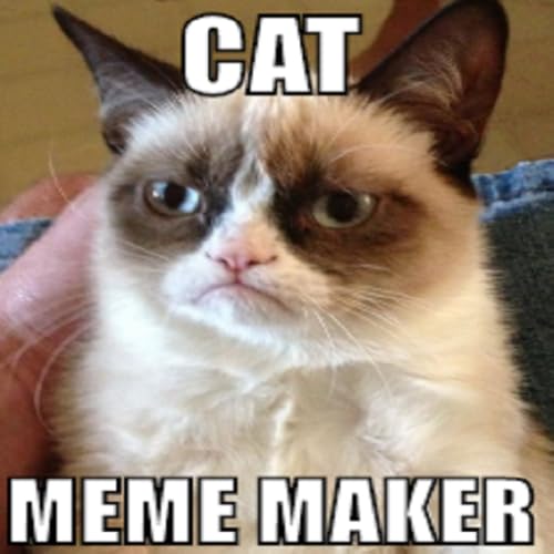 Cat Memes Maker