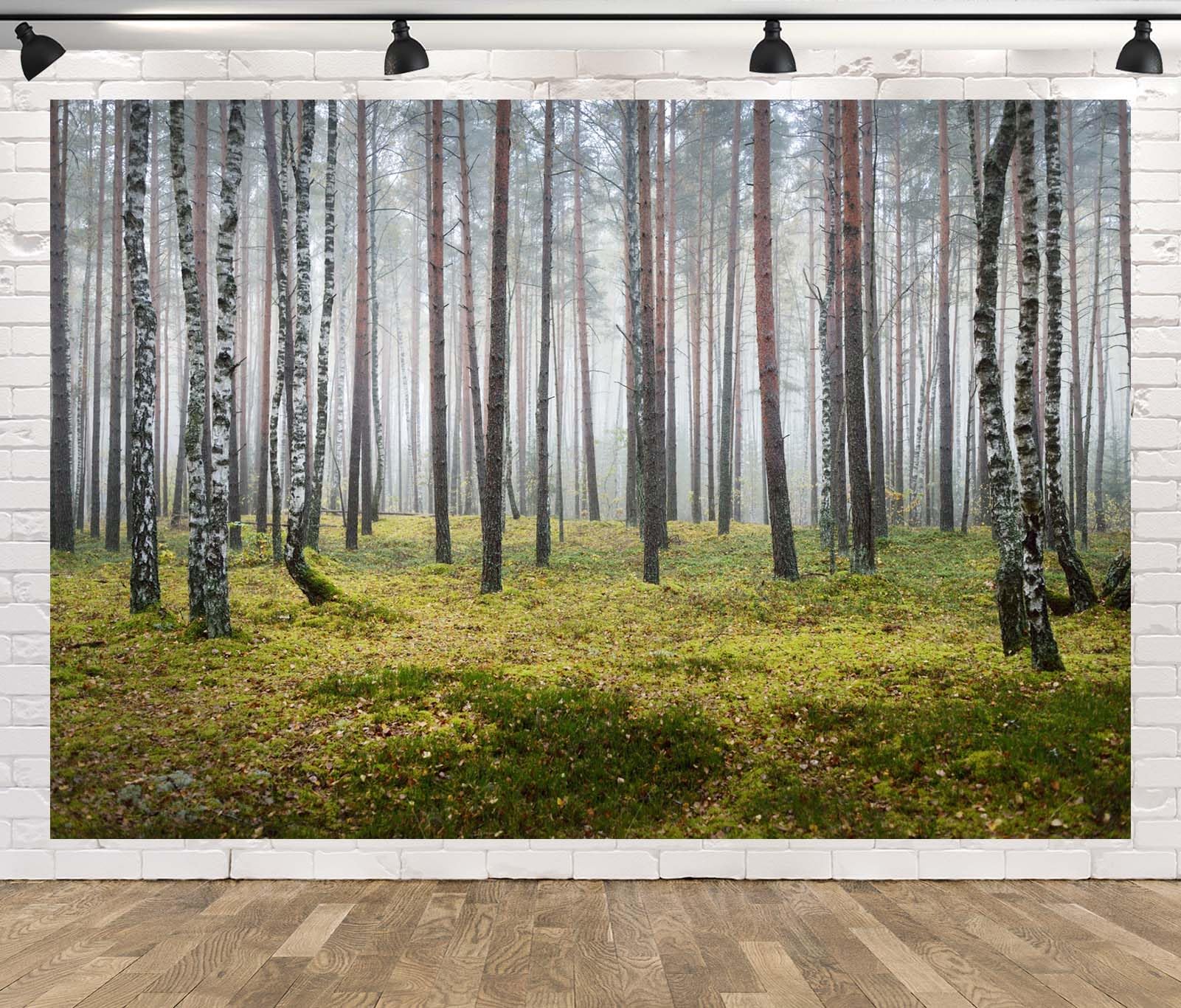 CORFOTO Foggy Forest White Birch Trees Backdrop Fabric 17x10ft Dark Spooky Grass Autumn Nature Scene Background for Fall Scenery Birthday Party Decorations Halloween Themed Photoshoot Props