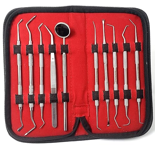 Kit profesional de eliminación de placas herramientas de cuidado bucal púas dentales de doble extremo de acero inoxidable con raspador espejo bucal