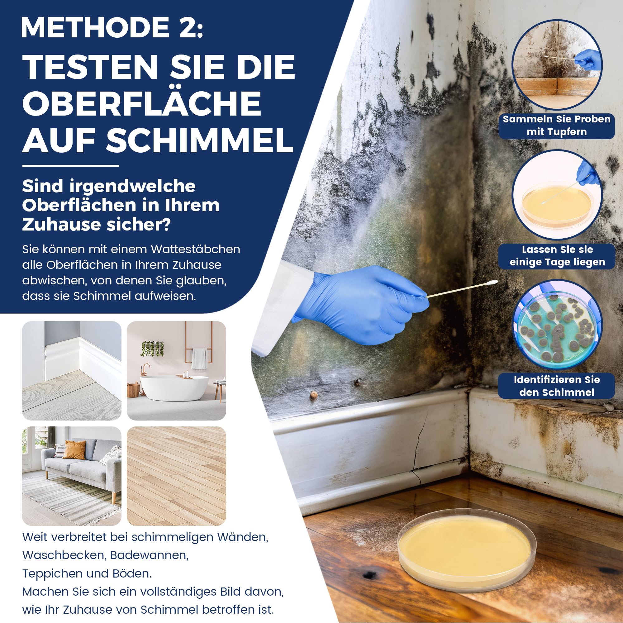 Kit de prueba de moho para el hogar – Prueba de moho para 10 habitaciones – Kit de prueba rápida de moho para la calidad del aire interior – Incluye guía de identificación e instrucciones (idioma
