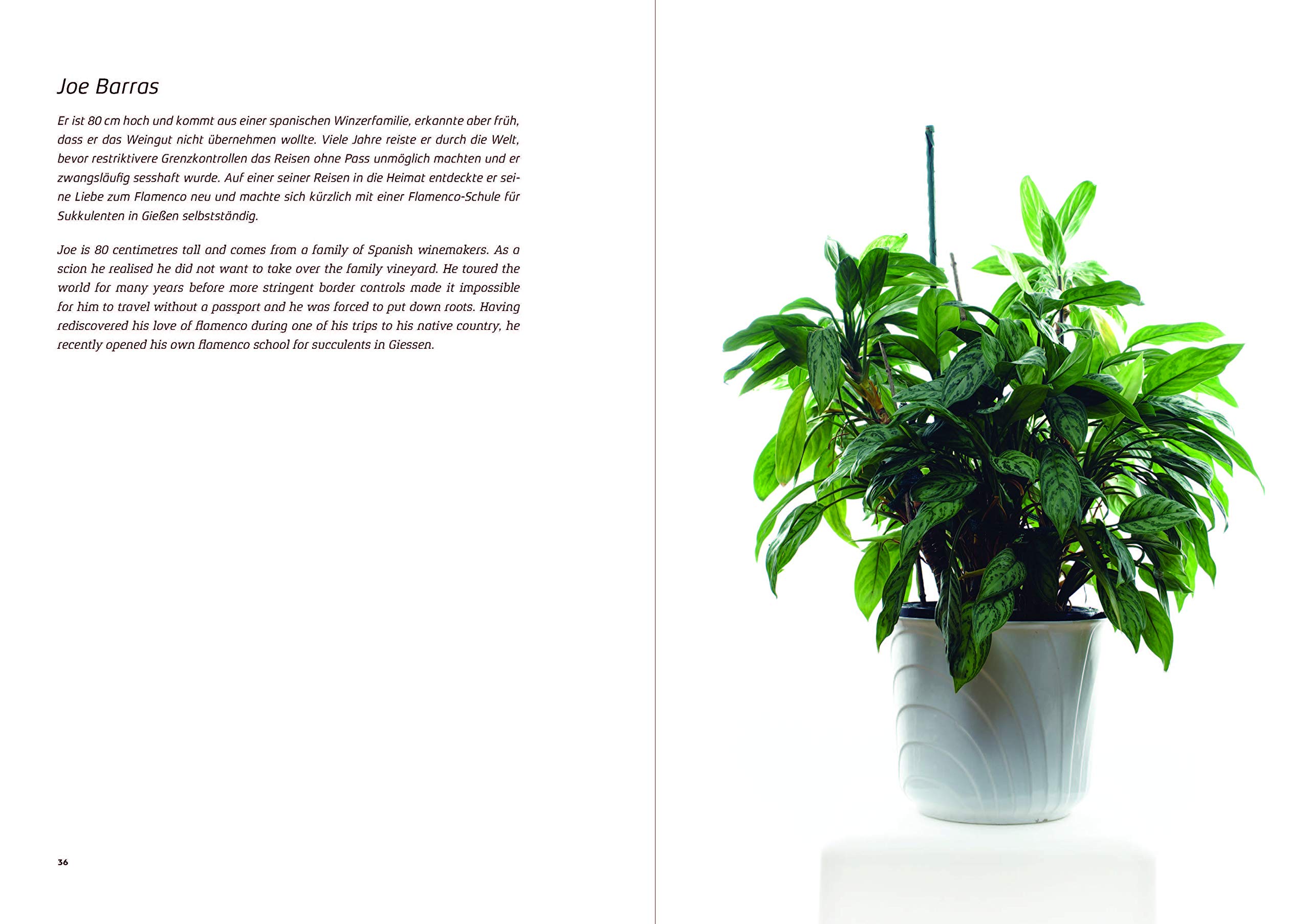 Urban Plants: Bio-Biographies