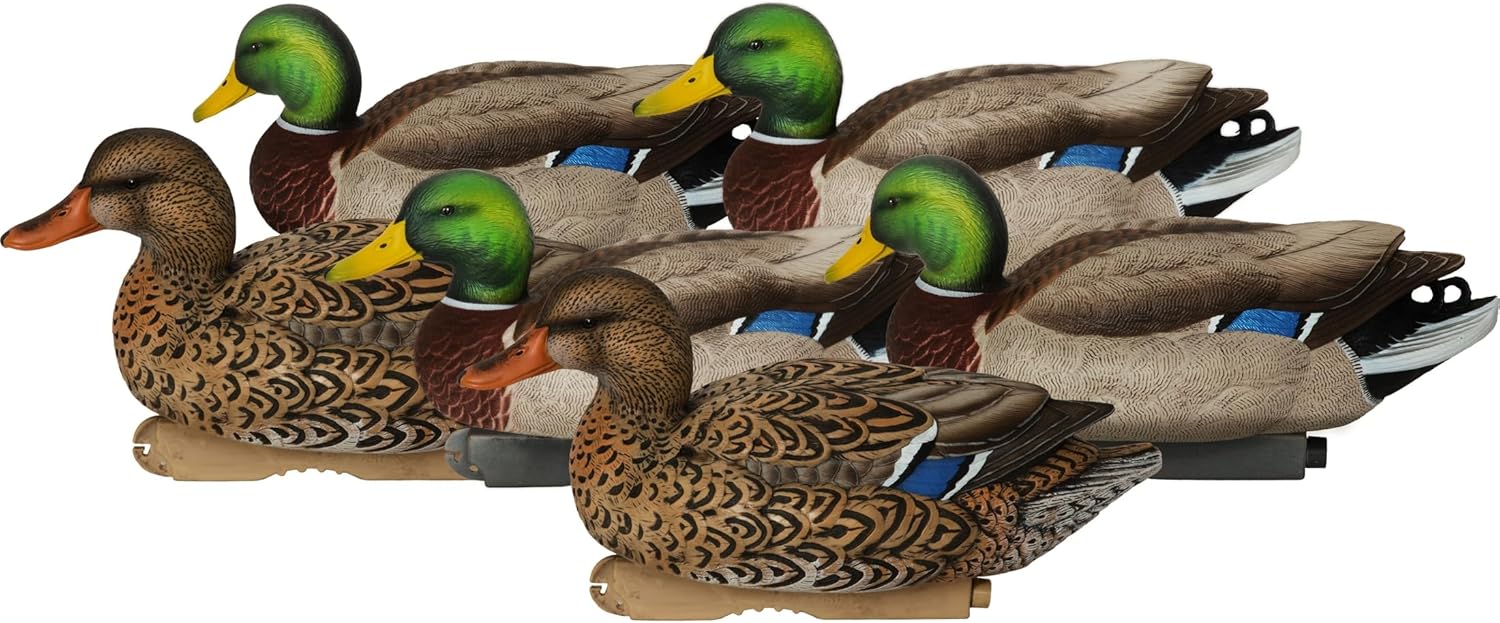 Avery PG XD Series Mallards-Active Pack (1/2 Dozen)