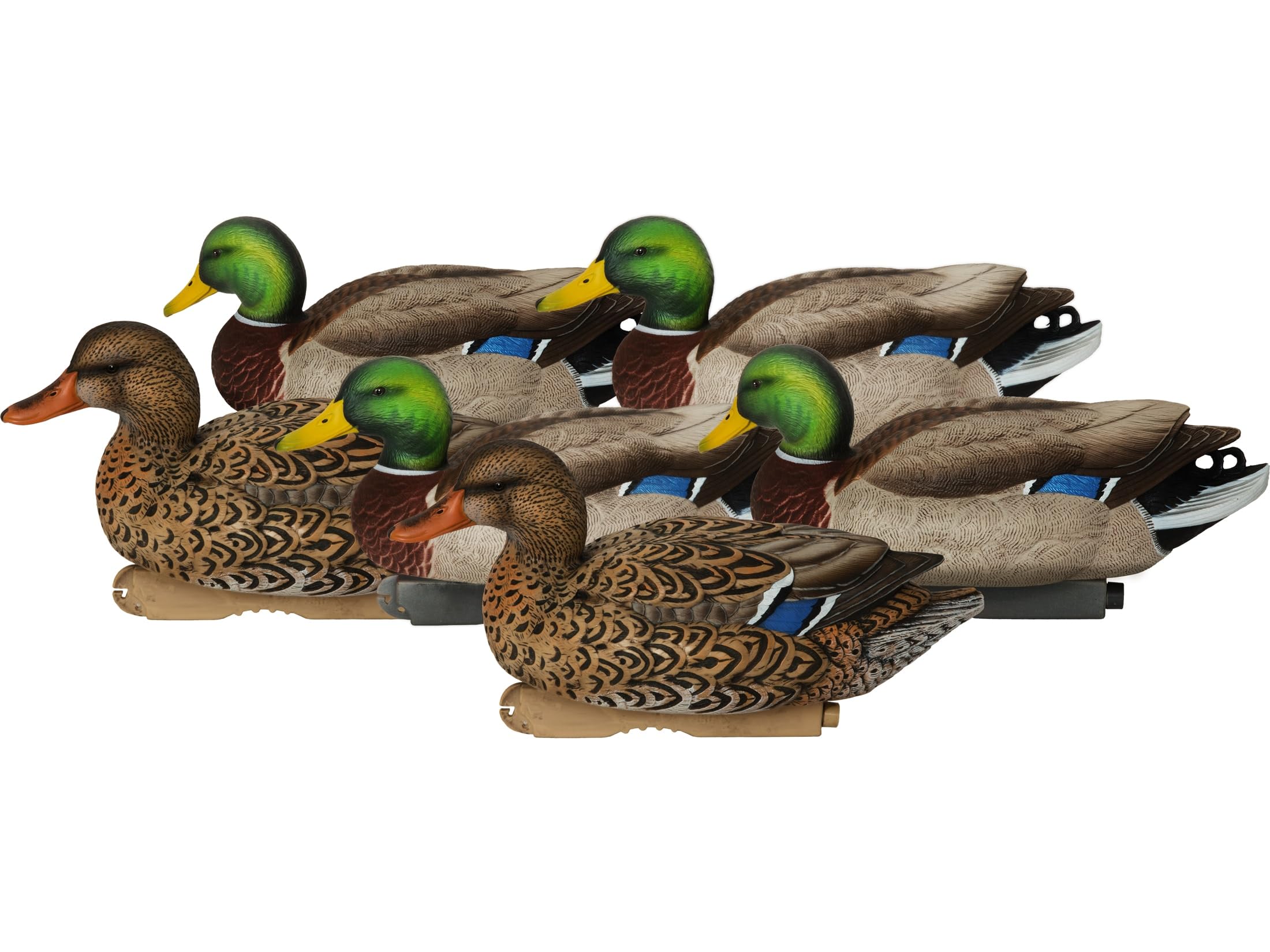 Best Duck Decoys Avery Mallards