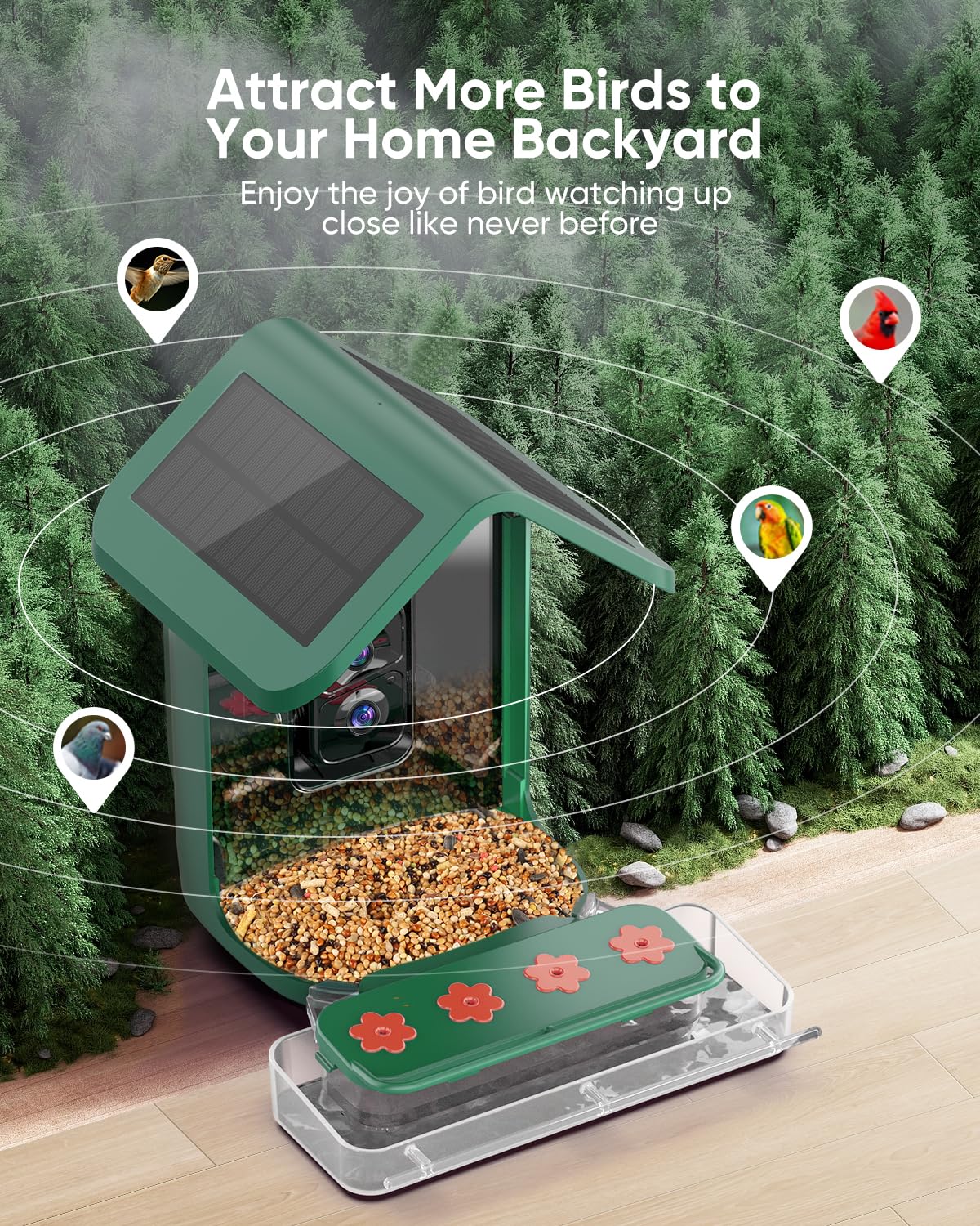 Comedero para pájaros con cámara, cámara alimentadora de colibríes alimentada por energía solar, captura automática inteligente de video y notificación de pájaros, regalo para los amantes de los