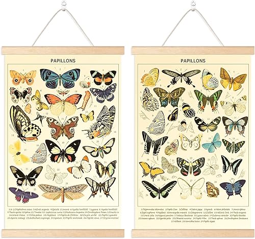 Chenkaiyang 2 carteles colgantes de mariposa vintage, para colgar en la pared, diseño de mariposa, rústico, retro, para decoración de sala de estar,