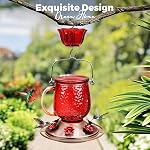 Kingsyard Glass Hummingbird Feeders for Outdoors, 16 Oz Wild Bird Feeder 6 Feeding Ports & Ant Moat Included, Hanging Bird Nectar Feeder Garden Red Décor Gifts for Mom