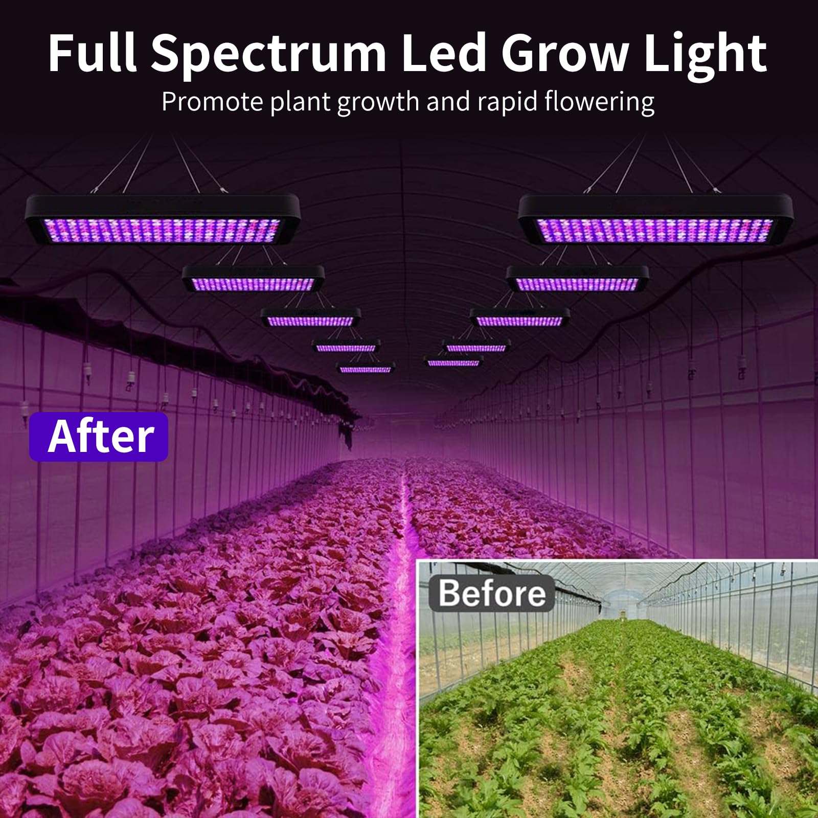 Amazon.com: Js2U ZW Upgraded 1000W LED Grow Light for Indoor