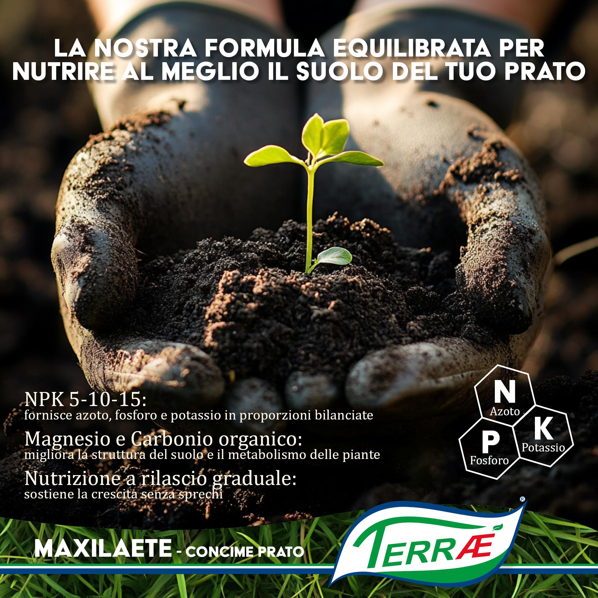 Concime Prato Estate 5 KG - 165m² | Effetto Prato Inglese | Concime Granulare Lenta Cessione per Tappeto Verde Rigoglioso | Fertilizzante Prato Erboso con Antimuschio per Erba Sana | NPK
