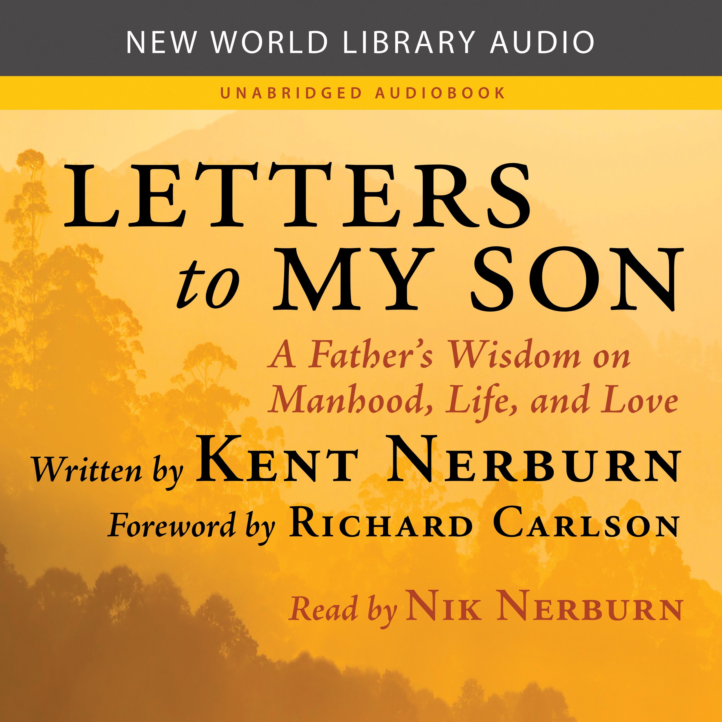Cover art for Letters to My Son
