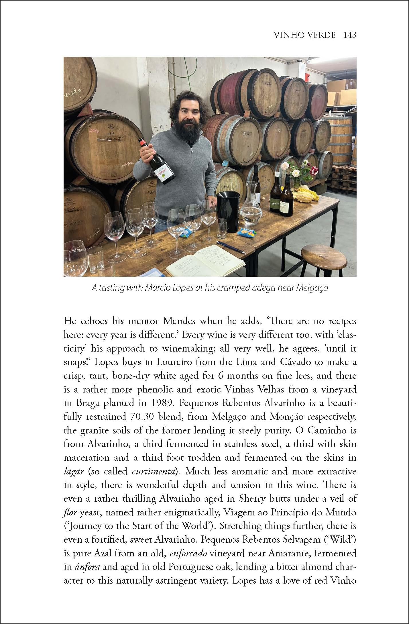 The Wines of Portugal: Second Edition (The Classic Wine Library)