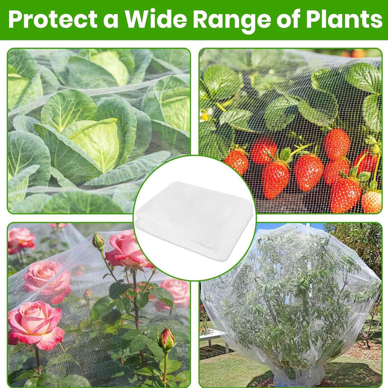 Rete Anti Insetti,Rete Anti Insetti per Orto,Rete di Protezione dagli Insetti,Rete Anti Uccelli,Rete di Protezione delle Piante,Reti Protettive da Giardino,Colture e Serre(40 mesh,2m*40m)