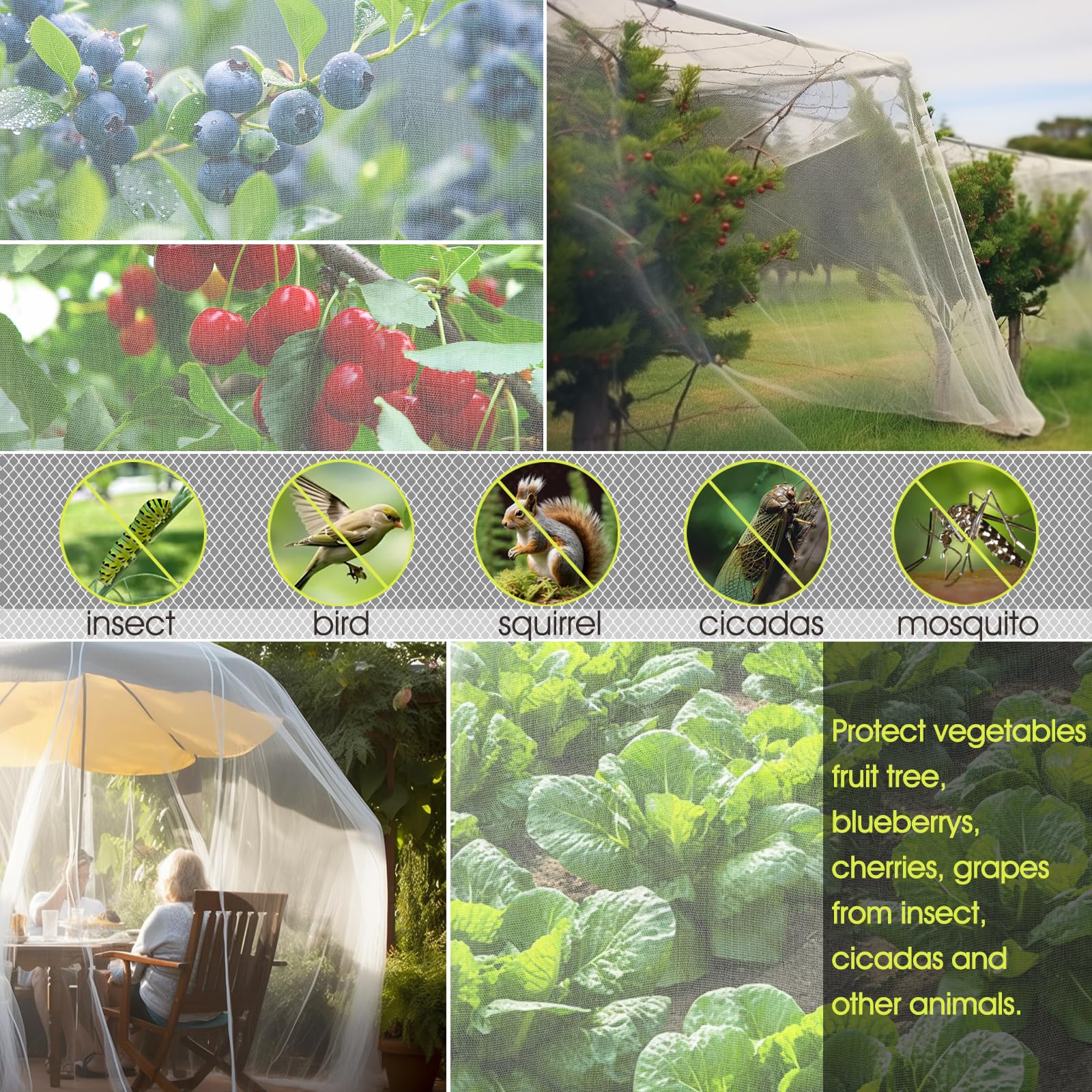 RIFNY Filet de jardin, 3 x 15 m, filet de jardin en maille fine pour extérieur, terrasse, parterre surélevé, protection des plantes, arbres fruitiers, tomates, parasites, cigales (1 pièce, blanc)