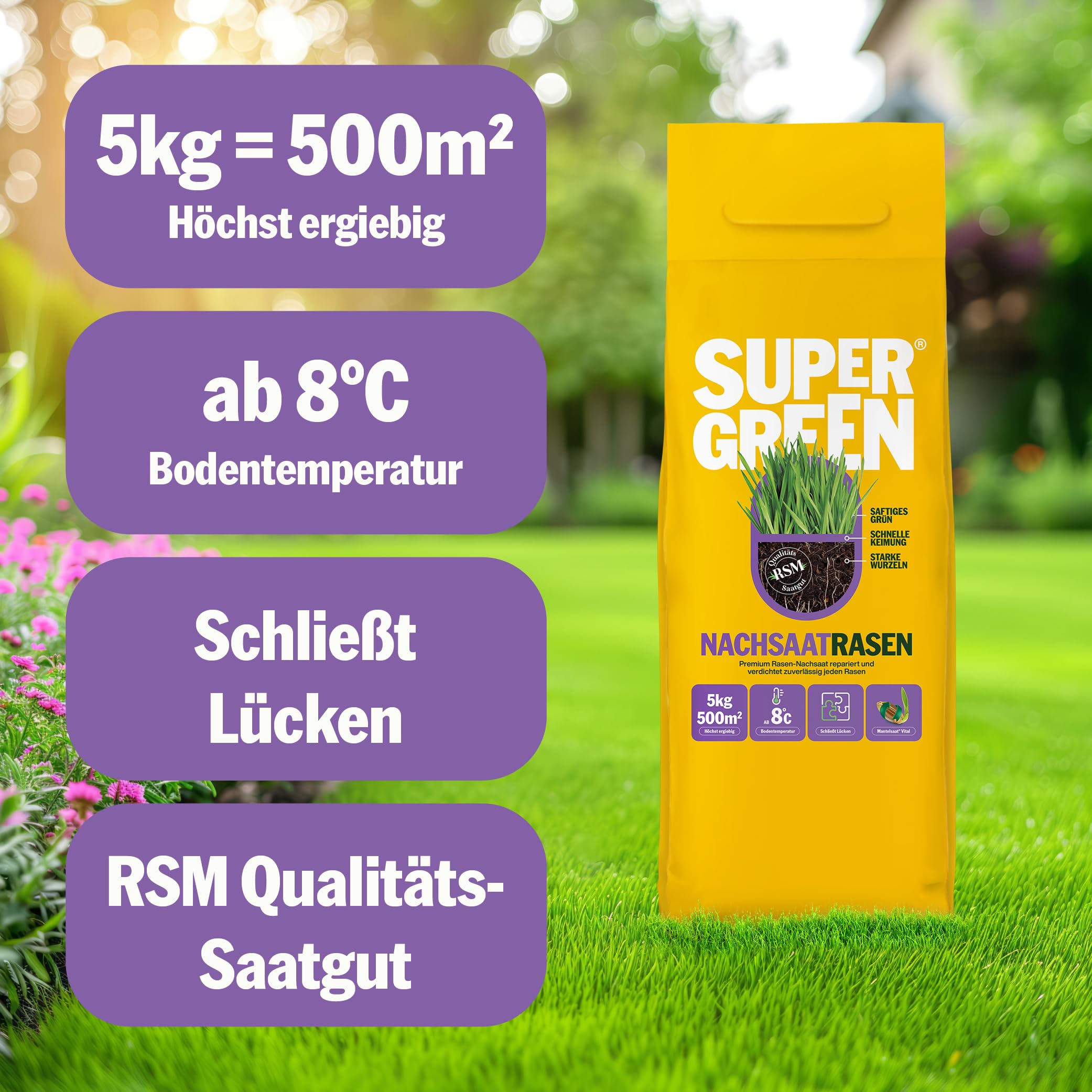 SUPERGREEN Nachsaatrasen Rasensamen | 5 kg für 500m² | Premium Nachsaat für dichten, sattgrünen Rasen | Schließt Lücken schnell & regeneriert Flächen | RSM Qualität & Mantelsaat® Vital
