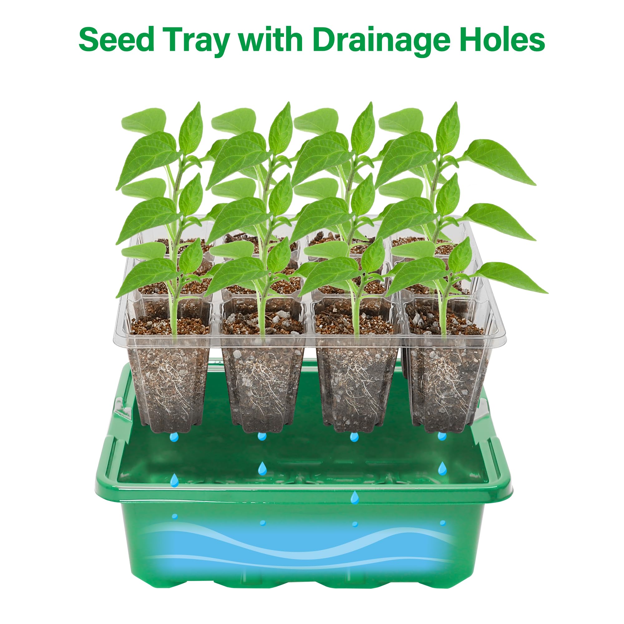 Lot de 5 Plateaux de semis pour semis - Kit de démarrage avec dômes d'humidité et Base pour Serre d'intérieur - Mini Station de Culture pour la Croissance des graines (12 cellules par Plateau) - Vert