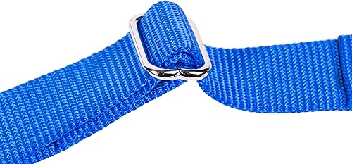 Vista 117 de GoGo Pet Products GoGo - Collar de perro Martingala de 3/8 pulgadas, talla XS, color naranja