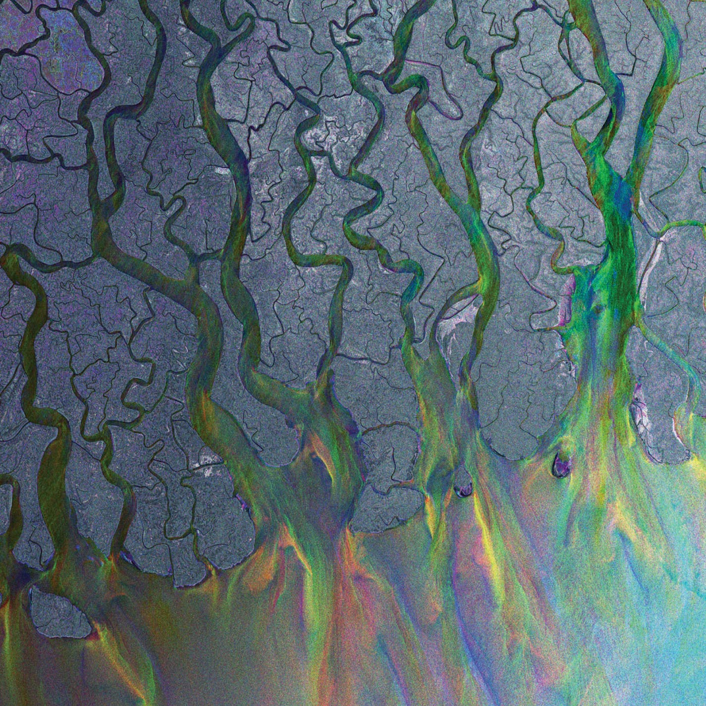 An Awesome Wave [Audio CD] alt-J