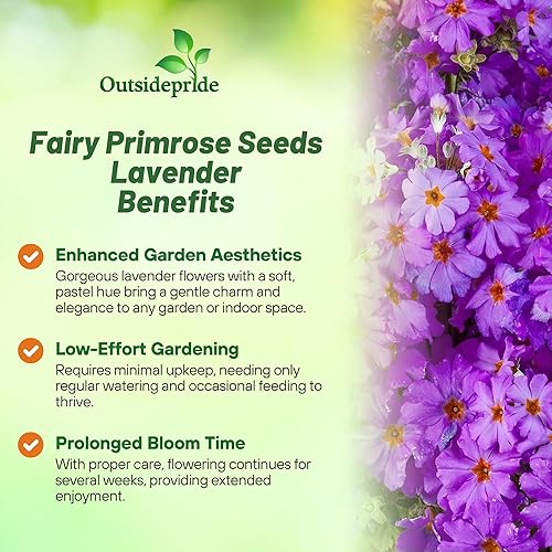 Vista 12 de Outsidepride 1000 Semillas Perennes Primula Crimson Fairy Primrose Flower Seeds para plantar Carmesí