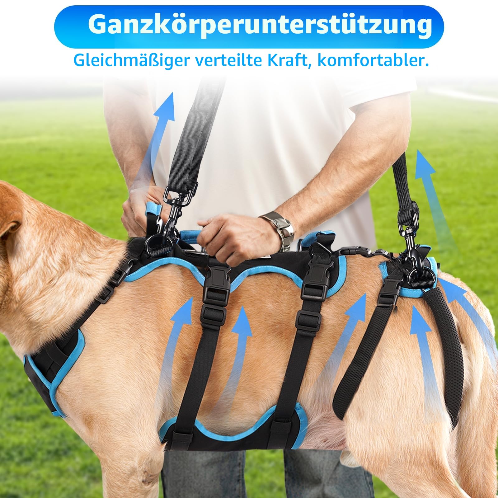 Hundeliftharnisch für große Rüden – 2-in-1 abnehmbares Hundetragegeschirr mit Hebegriffen für die Hinterbeine, Ganzkörperunterstützung für Senior-Hunde & nach der Operation(Schwarz, Groß)