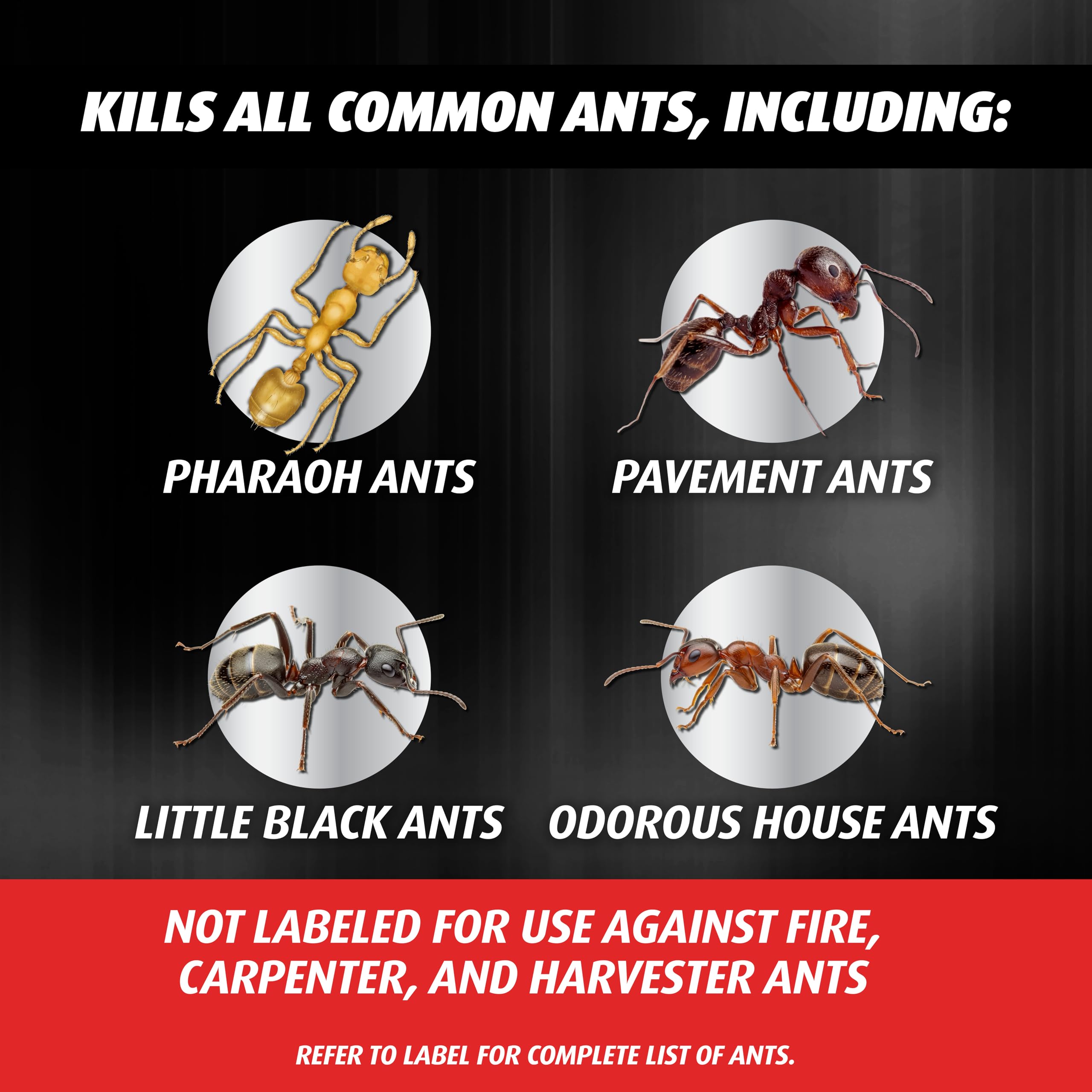 Ortho Ant Killer Bait - Kill Ants & the Queen -3