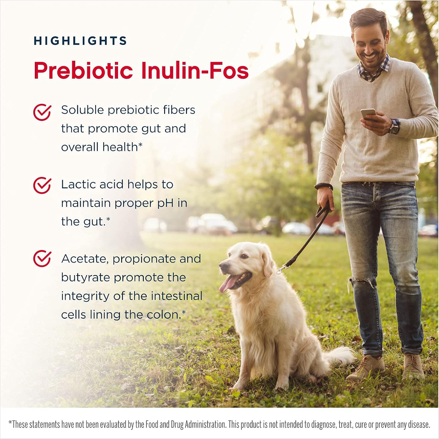 Jarrow Formulas Inulin FOS, Soluble Prebiotic Fibers That Promote Gut and Overall Health*, 6.3 oz Powder : Health & Household