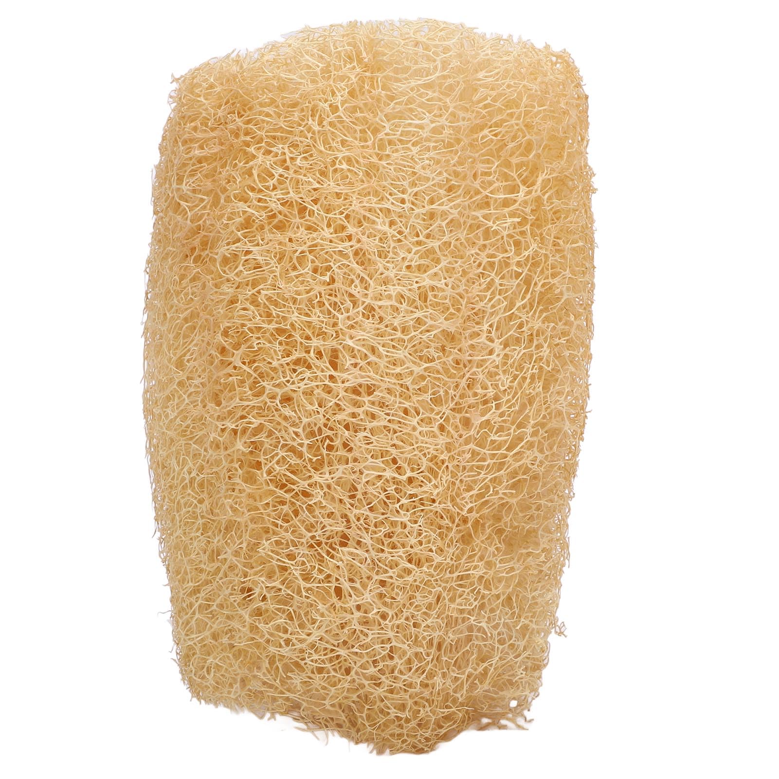 Gąbka Loofah, porowata struktura włókien Skutecznie pochłania tłuszcz Wysoka absorpcja wody Gąbka do naczyń Loofah Miękka, elastyczna szorowarka roślinna do czyszczenia kuchni