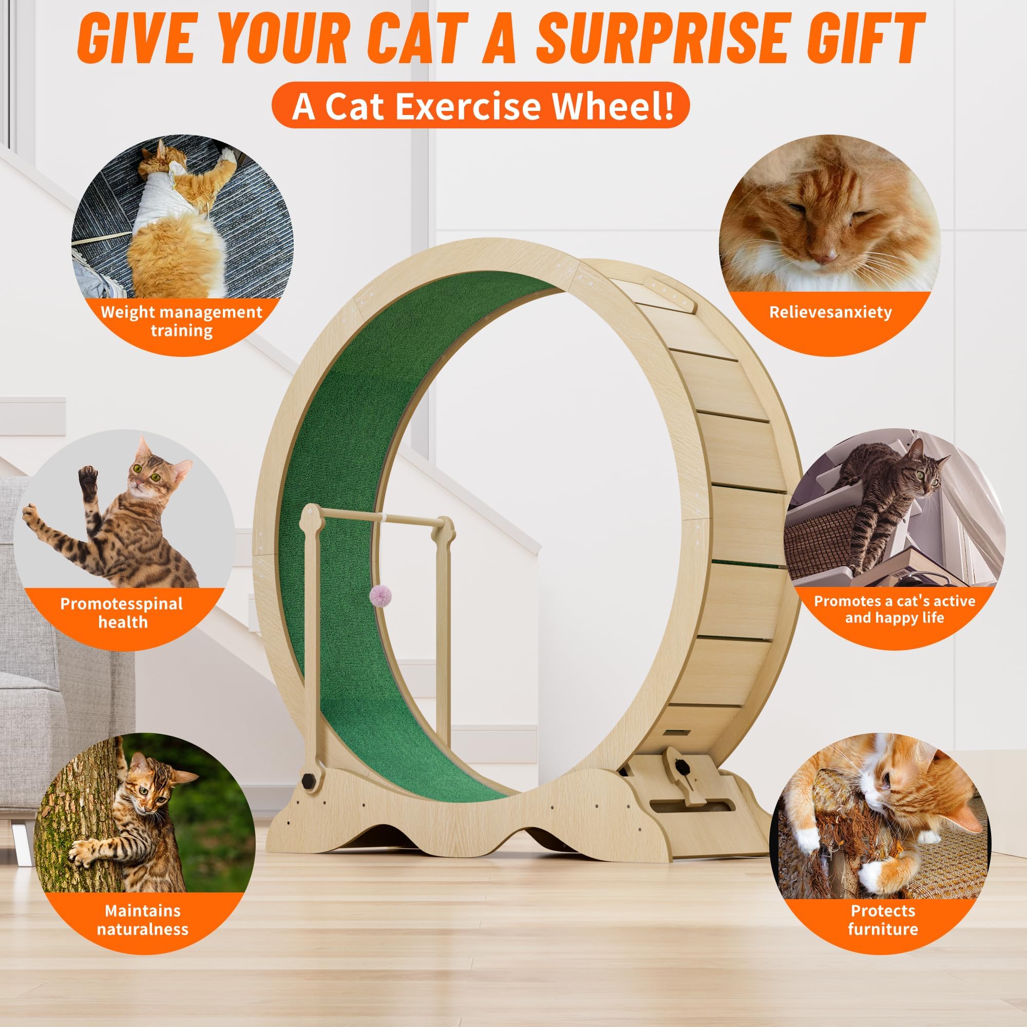 Katzenlaufrad 115cm - Geräuscharmes Laufrad für Indoor-Katzen mit Abnehmbarem Teppich, Spielball - Fitness-Gerät für Kleine, Mittelgroße und Große Katzen zur Gewichtskontrolle und gegen Langeweile-A