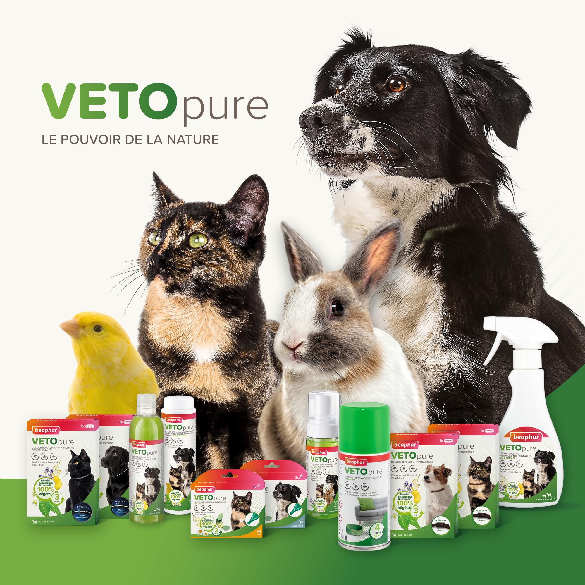 Beaphar – VETOPURE – Pipettes répulsives antiparasitaires pour Chaton – Extraits de Margosa – Contre Les puces, tiques et moustiques – Protection 3 Mois – Facile à appliquer – 3 pipettes