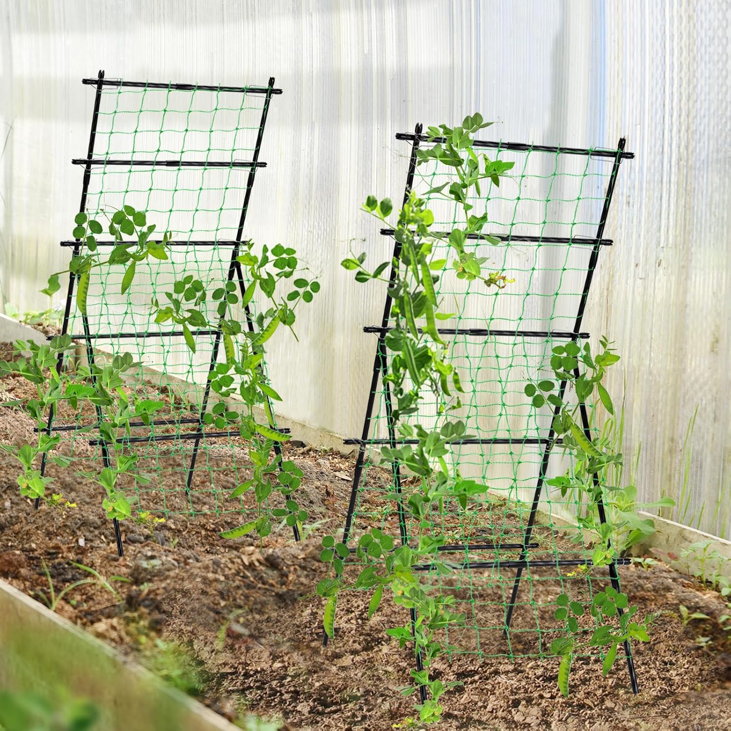 Cucumber Trellis A Frame Garden Trellis, Vertical Plant Support with Netting for Raised Bed Backyard Gardening, PE Coated Steel Climbing Trellis for Cucumbers Tomatoes Beans