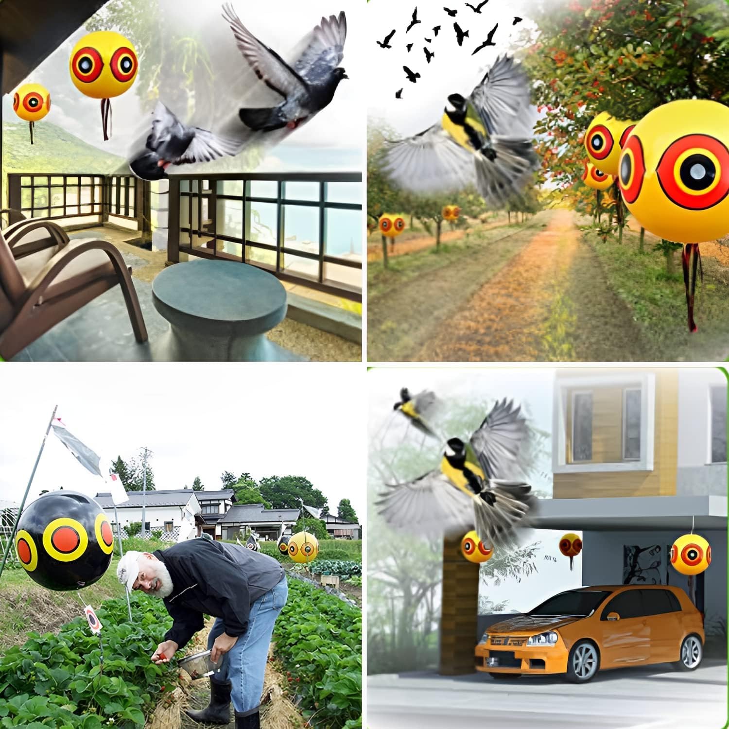 Ballon Anti-Oiseaux avec Yeux, Lot de 3, Répulsif pour Pigeons avec Corde, 3 Couleurs
