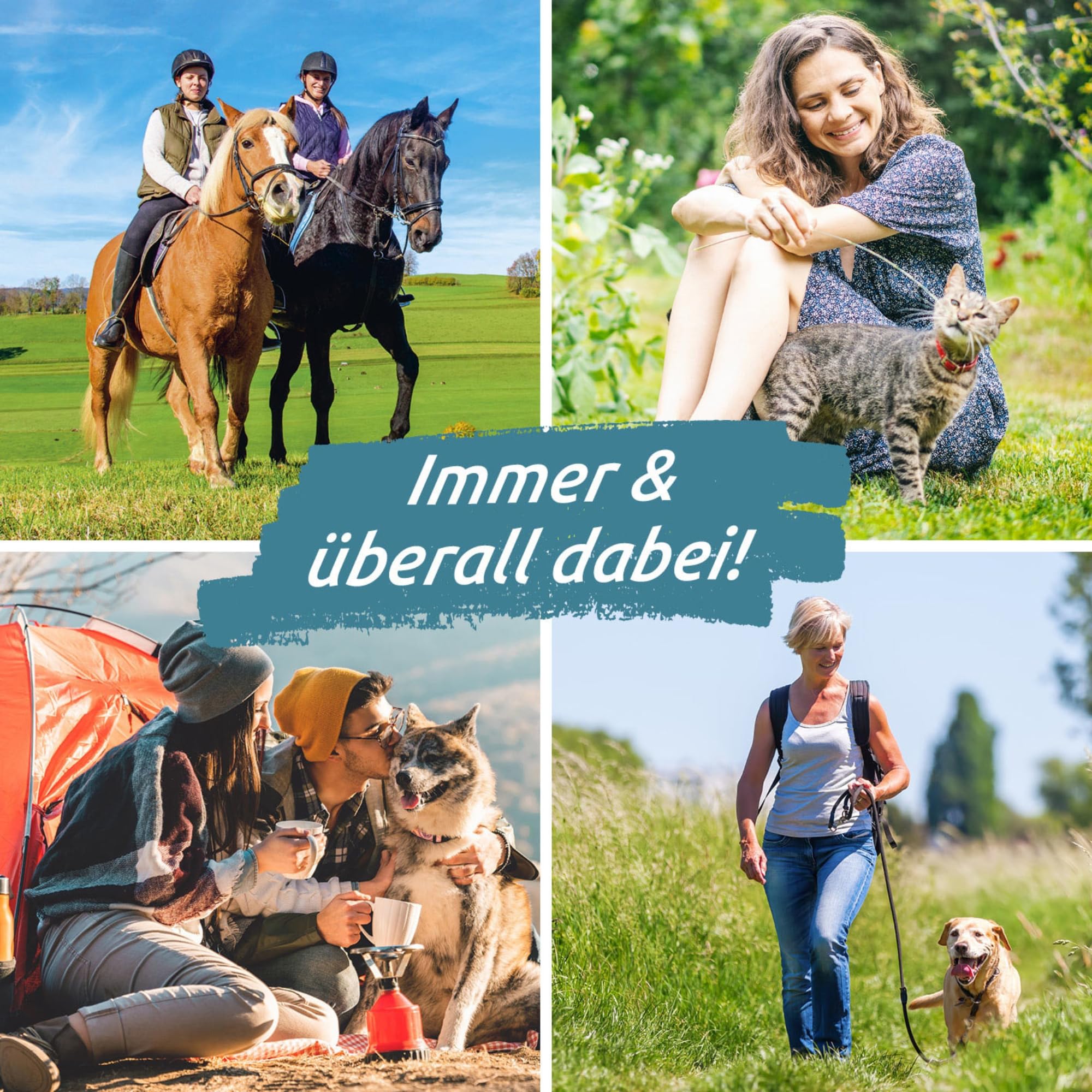 tickSAFE 2 Stück Zeckengreifer Tier mit rotierendem Greiferkopf | Die bessere Alternative zur Zeckenzange - kein Quetschen, Ziehen oder Drücken - einfach schonend rausdrehen