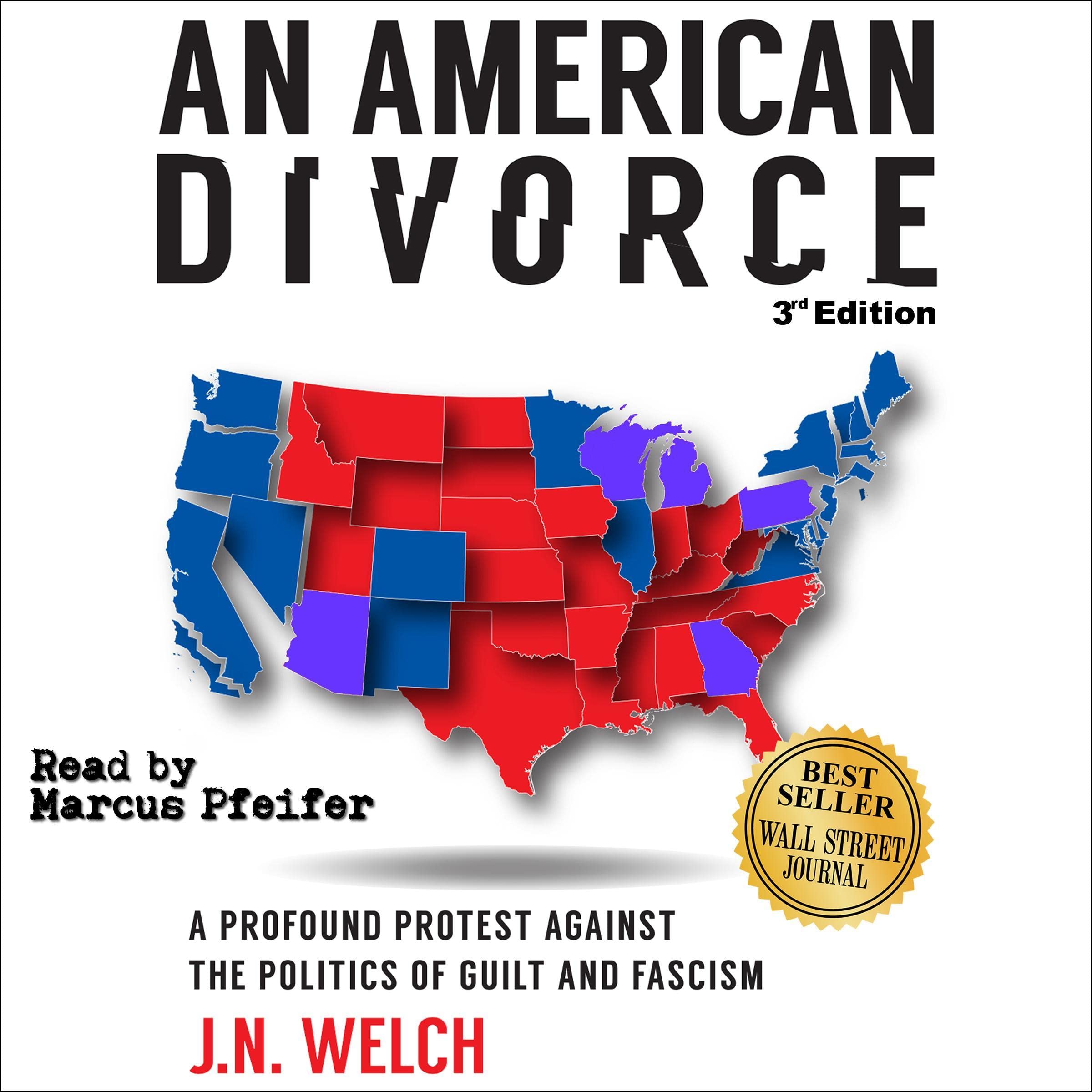 Cover art for An American Divorce