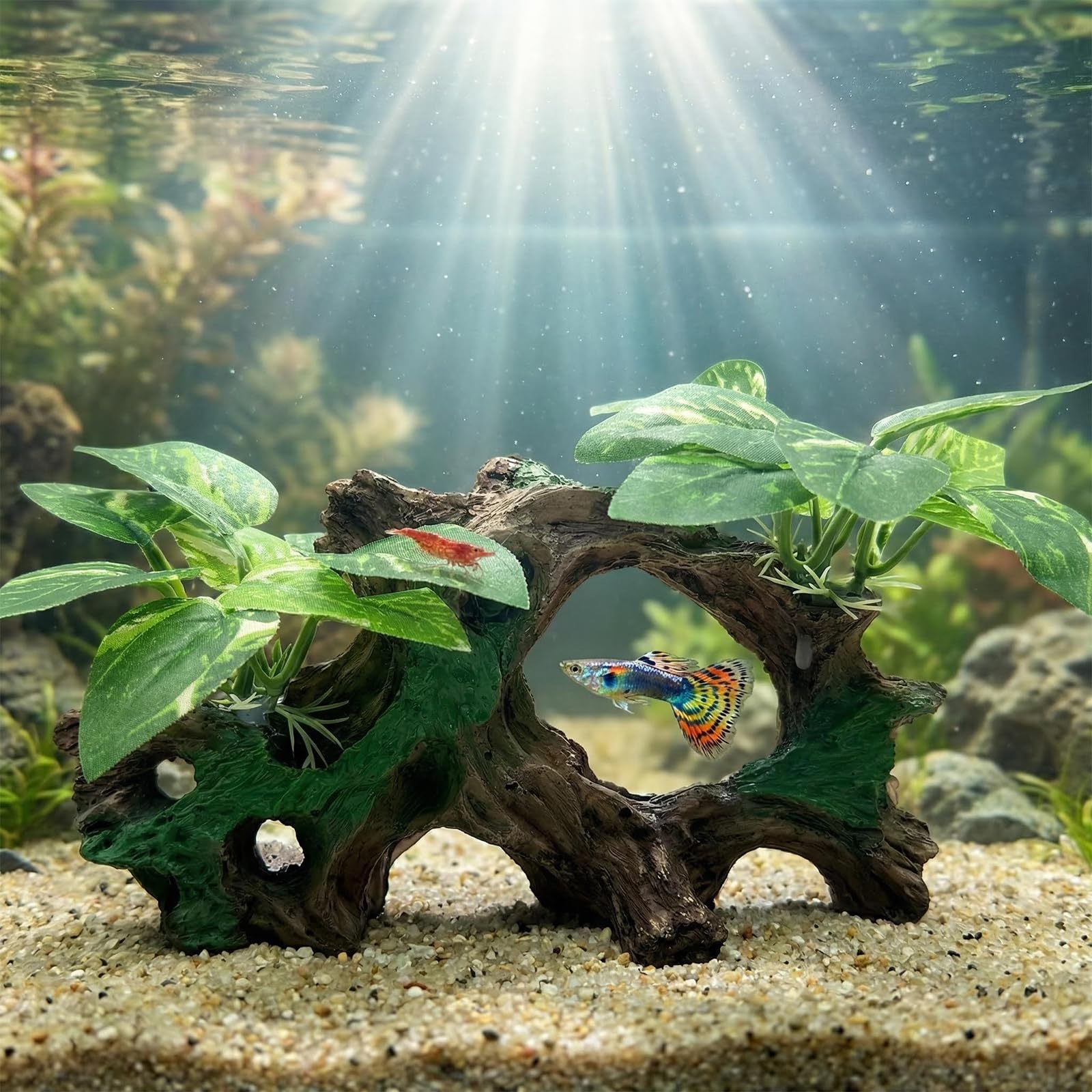 Aquarium Cave Decor - Silk Plants for Betta Fish -8 Aquarium Cave Decor - Silk Plants for Betta Fish -8