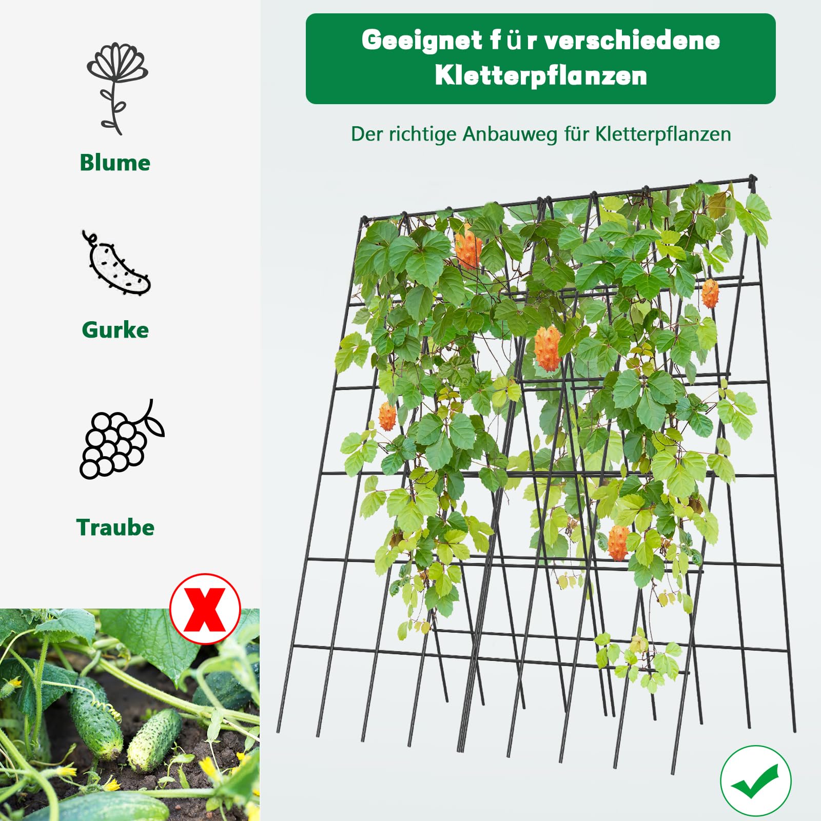 SUNYRISY 2er Set Metall Gurke Rankhilfe, Rankgitter für Gurke, Gitternetz Kletterpflanzen Rankhilfe, Tomaten Rankhilfe, Pflanzenstütze für Blumen & Nutzpflanzen, Schwarz