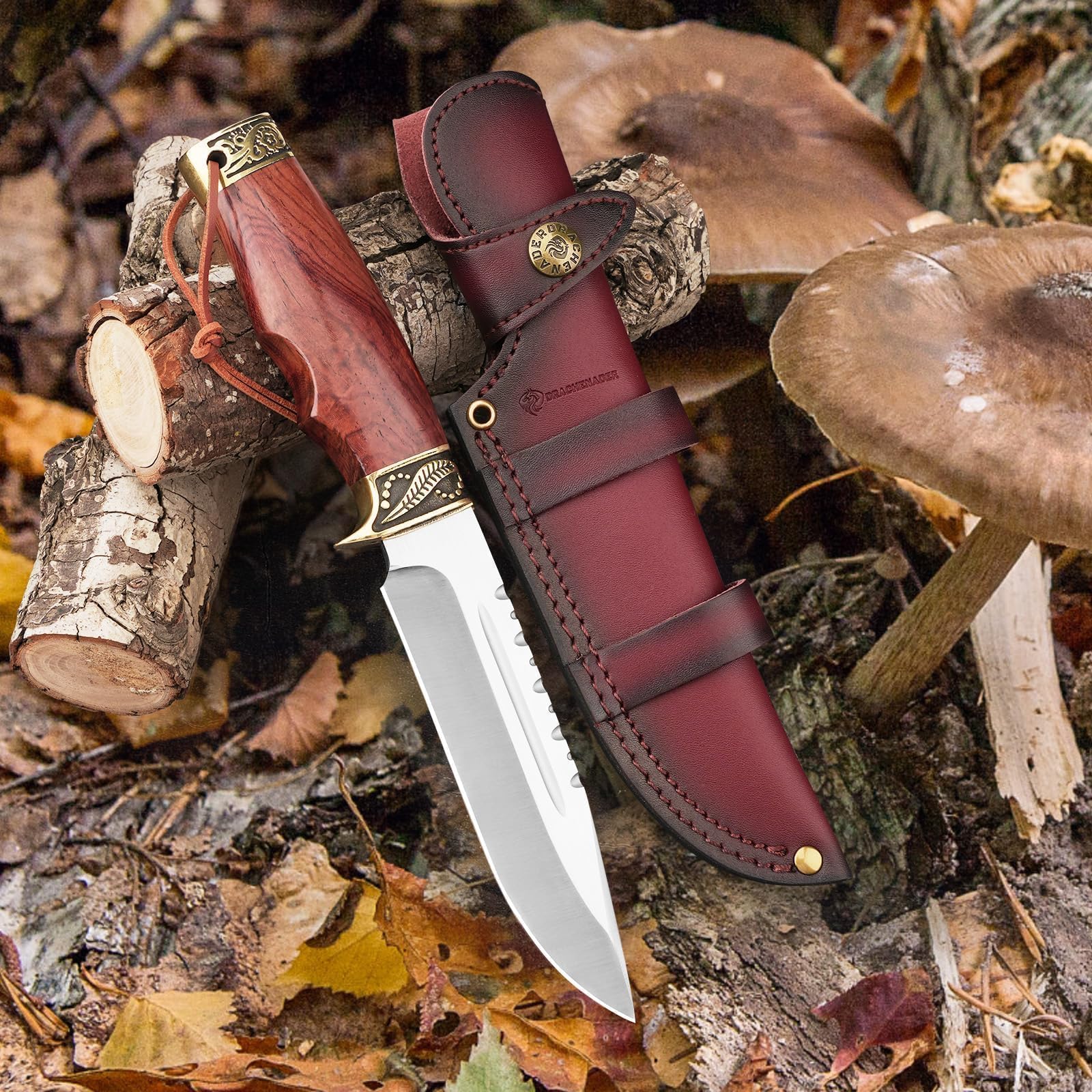 DRACHENADER coltello da caccia lama fissa Yu - Ln, 14,7cm lunghezza lama cintura con fodero in pelle, acciaio 5Cr14moV, manico in legno, campeggio sopravvivenza all'aperto