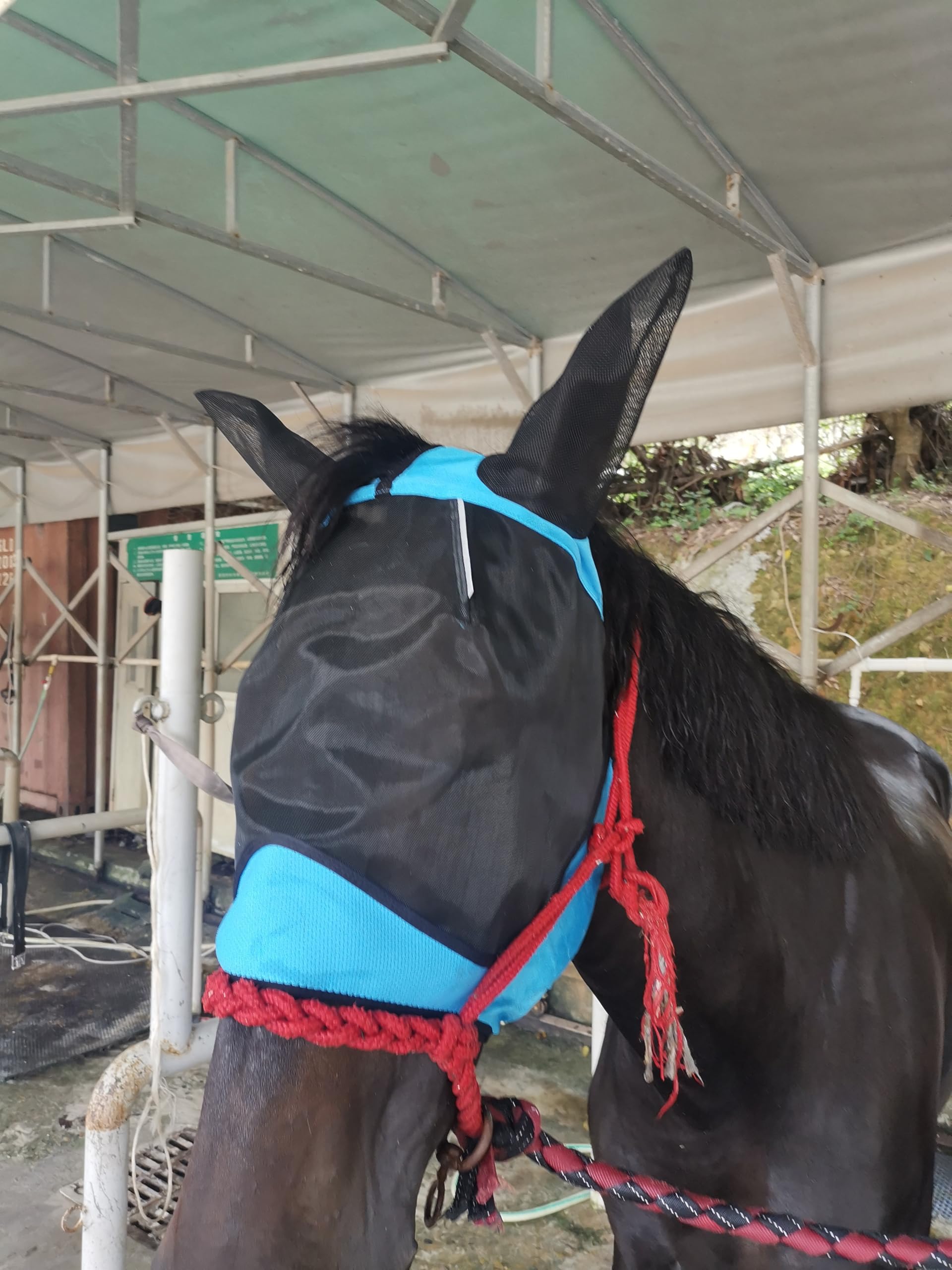 Ankaier Horse Fly Mask Pink