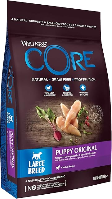 Wellness CORE Large Breed Puppy Original, Dry Puppy Food for Large Breed Puppies, Grain Free, High Meat Content, Chicken, 10 kg