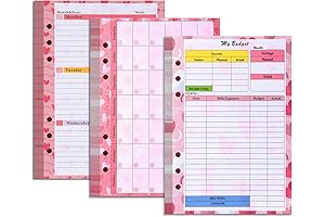 6 Hole Planner Refill Pre-Printed Budget Sheets